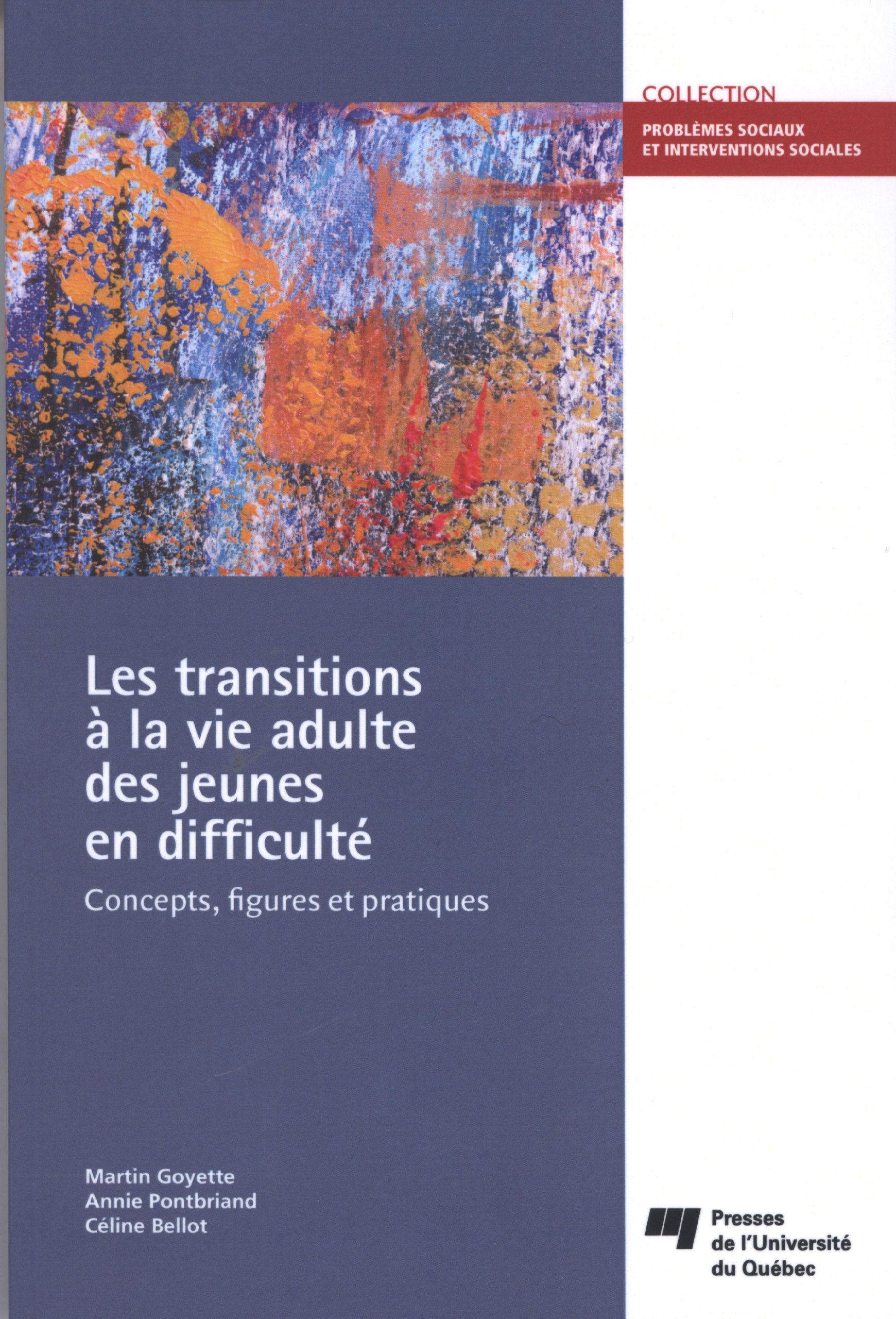 TRANSITIONS A LA VIE ADULTE DES JEUNES EN DIFFICULTE book