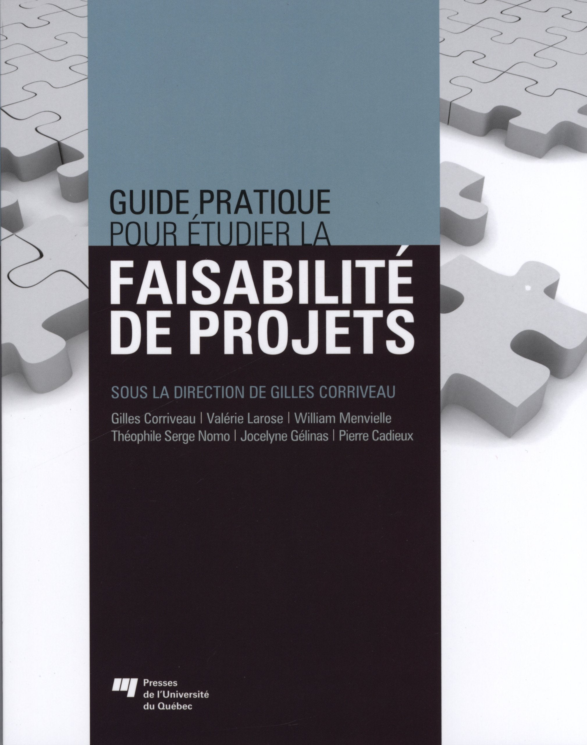 GUIDE PRATIQUE POUR ETUDIER LA FAISABILITE DEPROJETS book