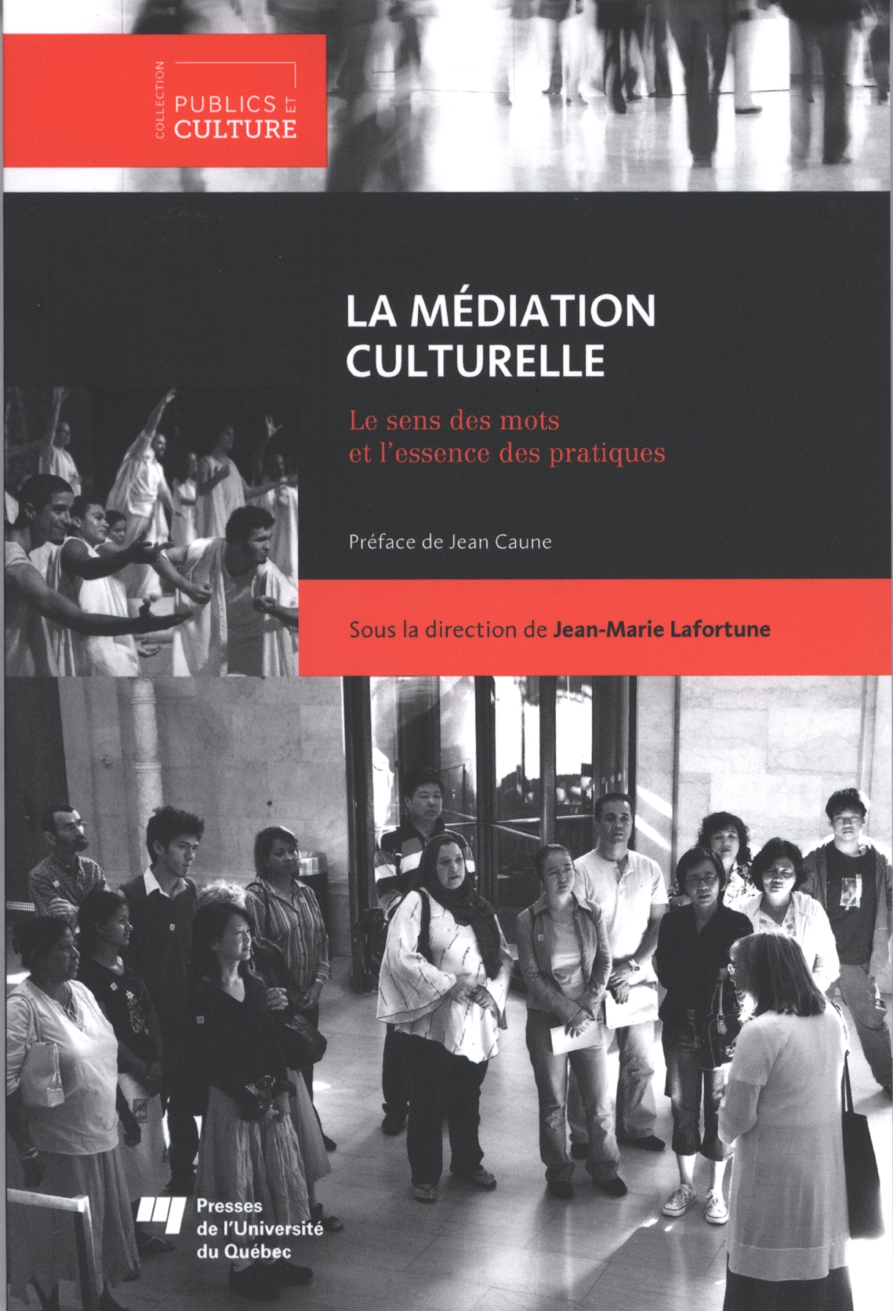 MEDIATION CULTURELLE: Le sens des mots et l'essence des pratiques book