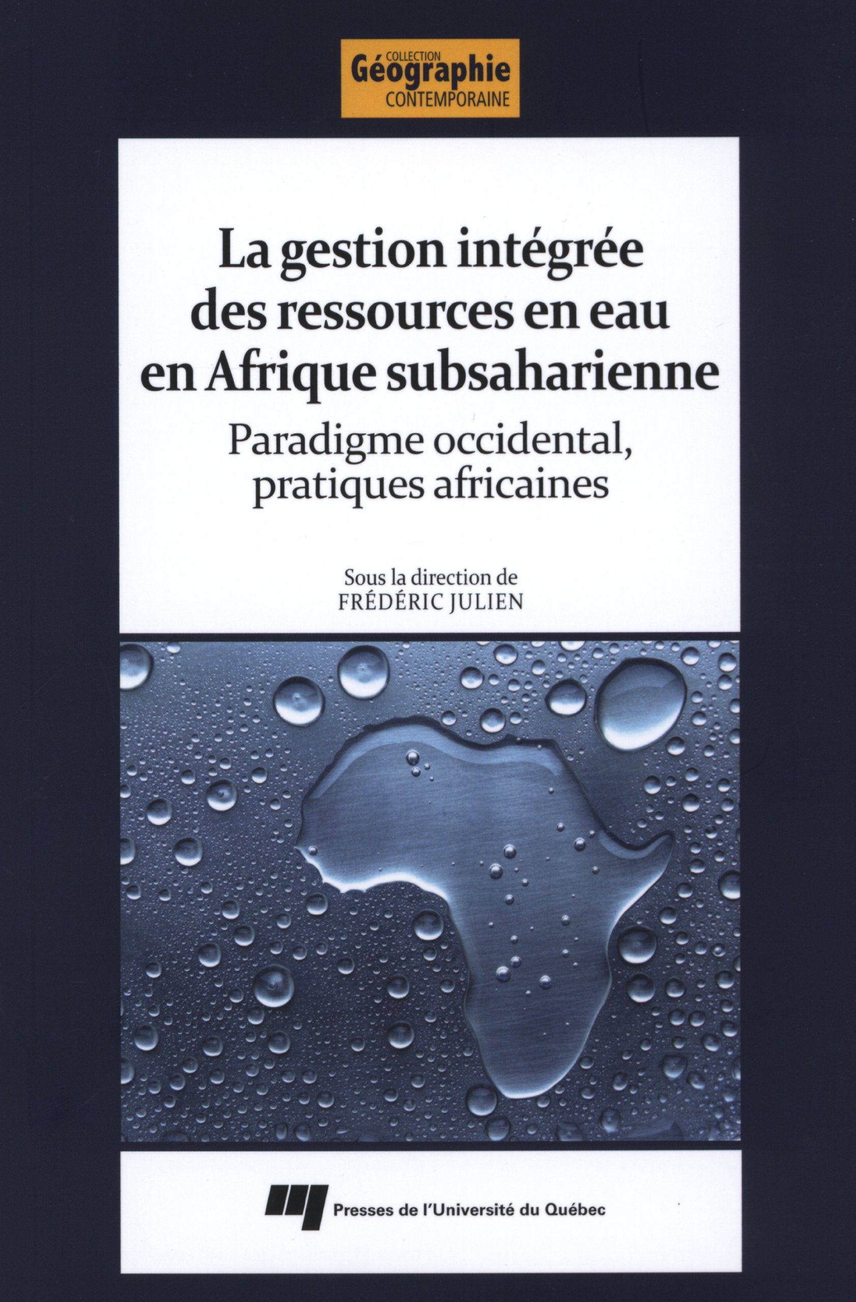 GESTION INTEGREE DES RESSOURCES EN EAU EN AFRIQUE SUBSAHARIE book