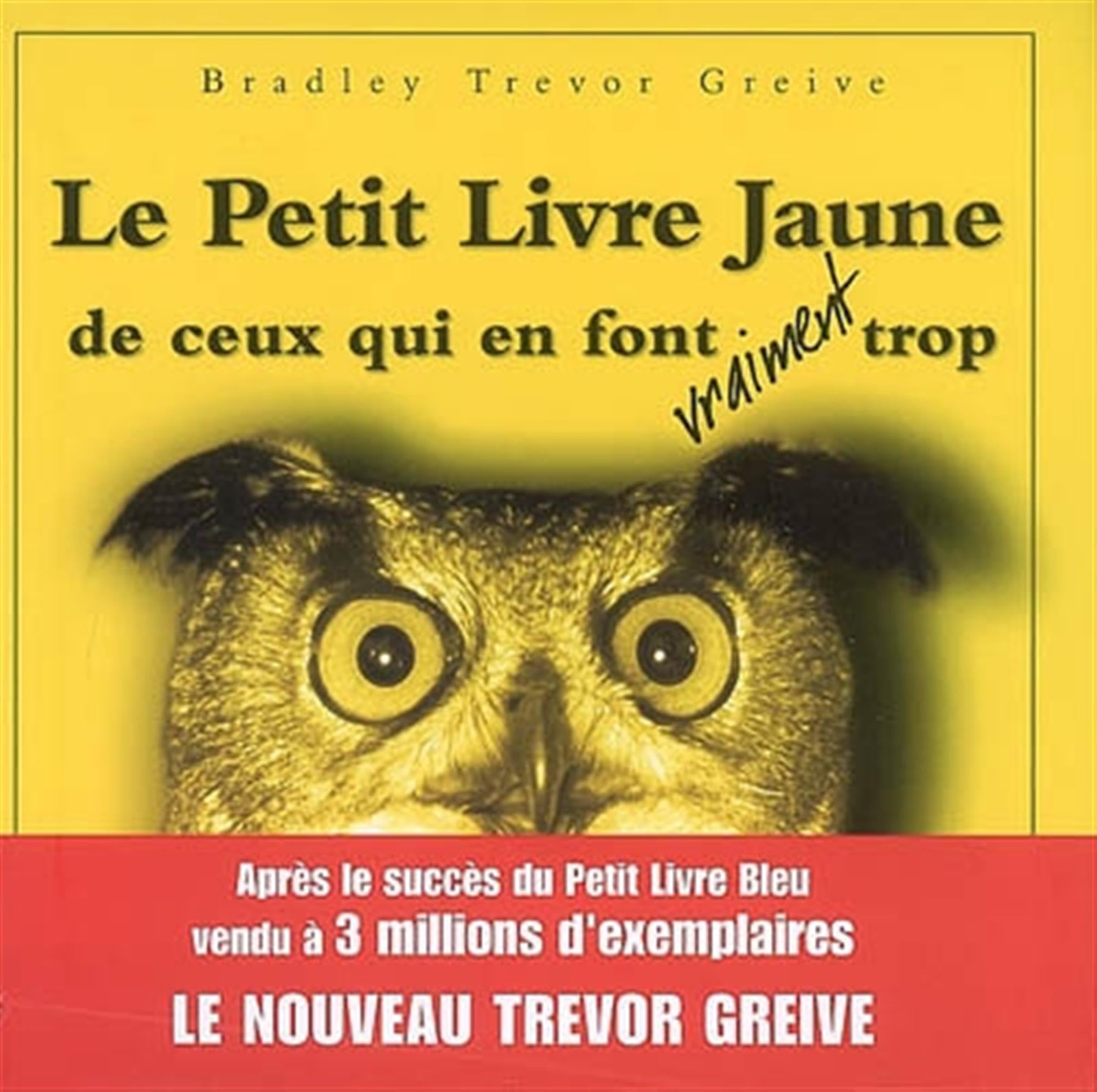 TOURISME ET EVENEMENTIEL ENJEUX TERRITORIAUX ET STRATEGIE book