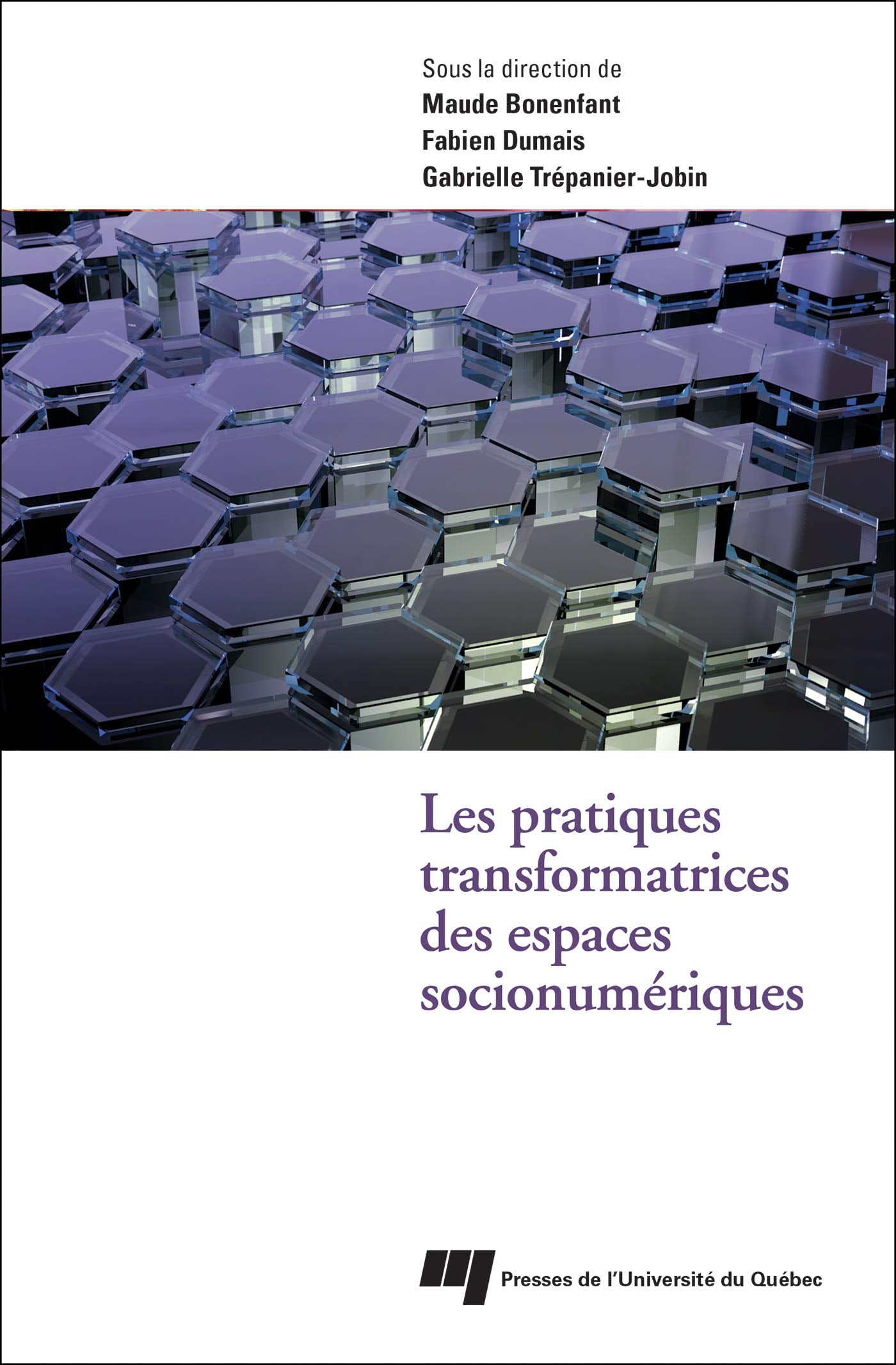 PRATIQUES TRANSFORMATRICES DES ESPACES SOCIONUMERIQUES book