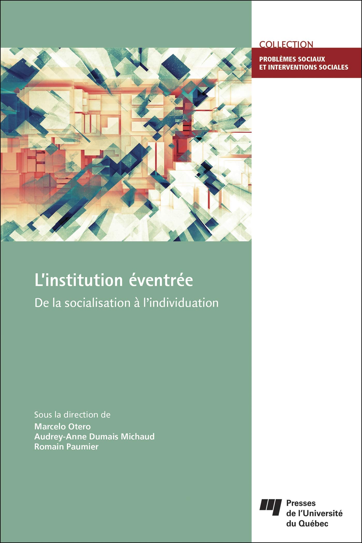 L' institution éventrée: De la socialisation à l'individuation book