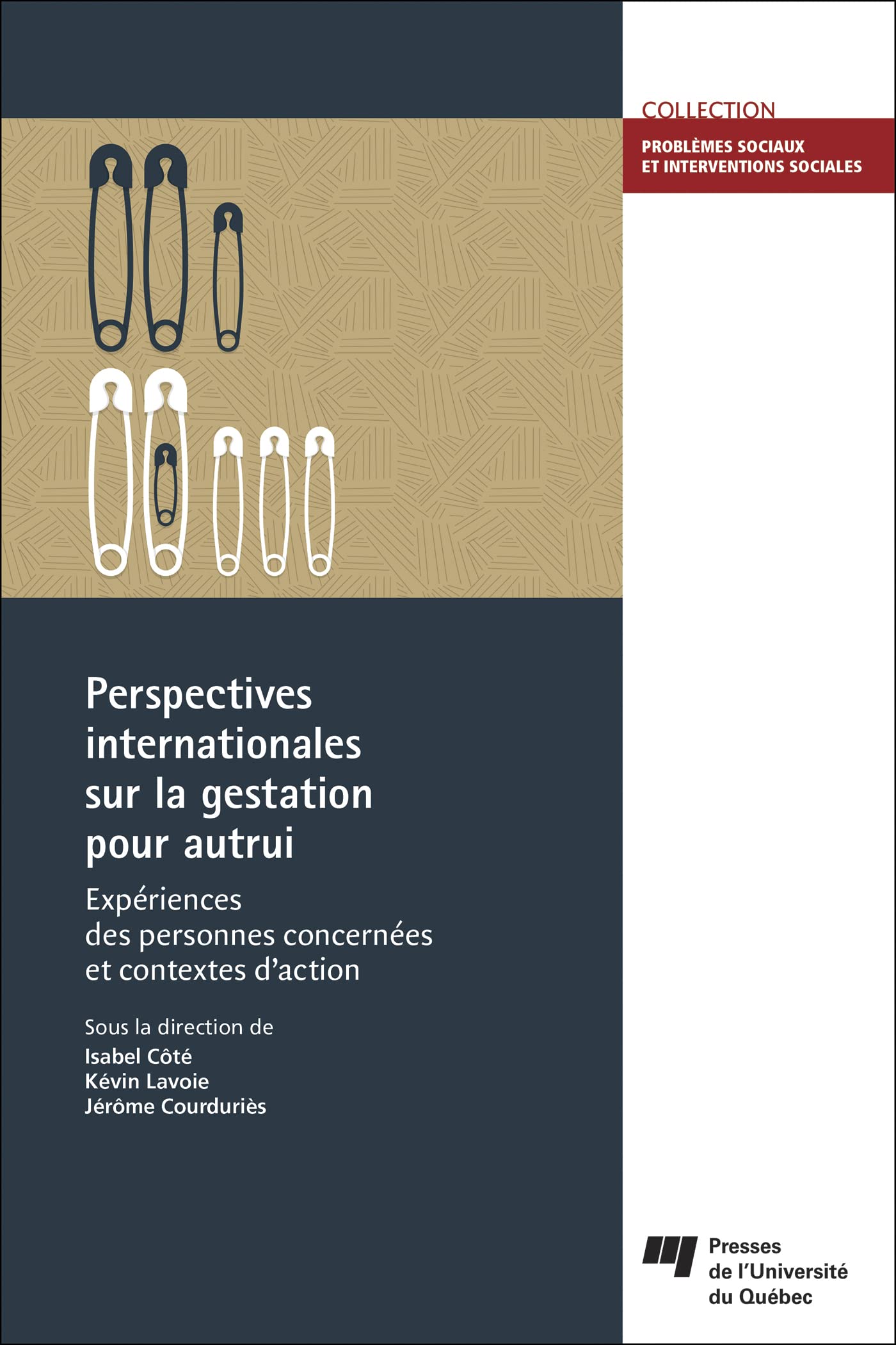 Perspectives internationales sur la gestation pour autrui: Expériences des personnes concernées et contextes d'action book