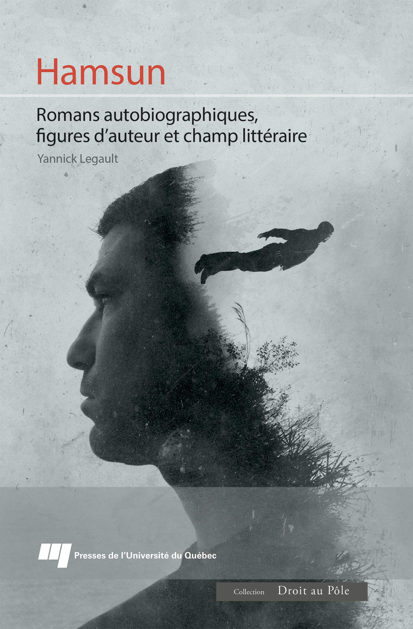 Hamsun: Romans autobiographiques, figures d'auteur et champ littéraire book