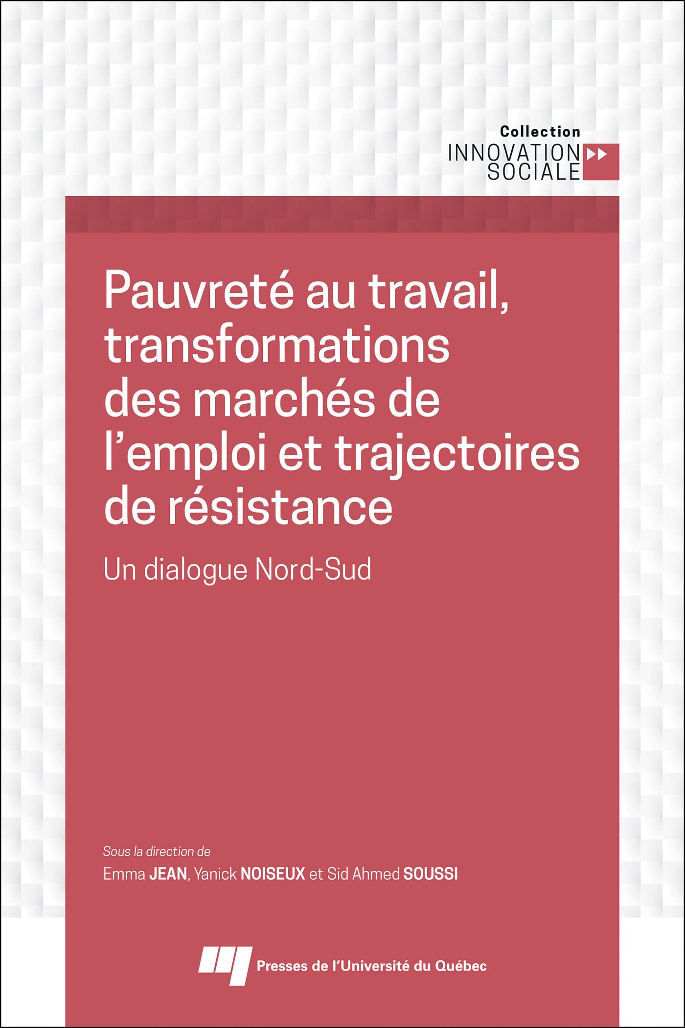 Pauvreté au travail, transformations des marchés de l'emploi et trajectoires de résistance: Un dialogue Nord-Sud book