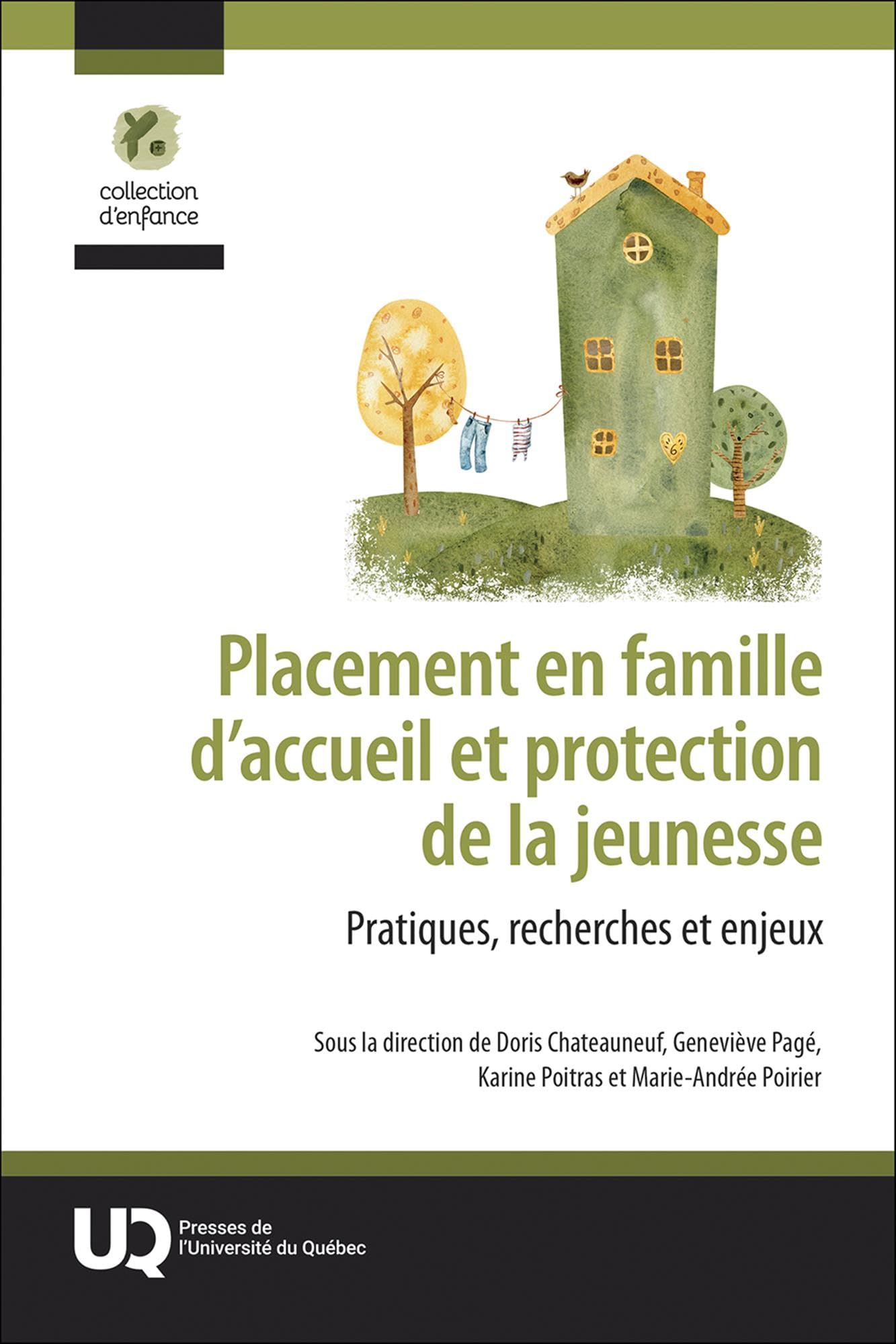 Placement en famille d'accueil et protection de la jeunesse: Pratiques, recherches et enjeux book