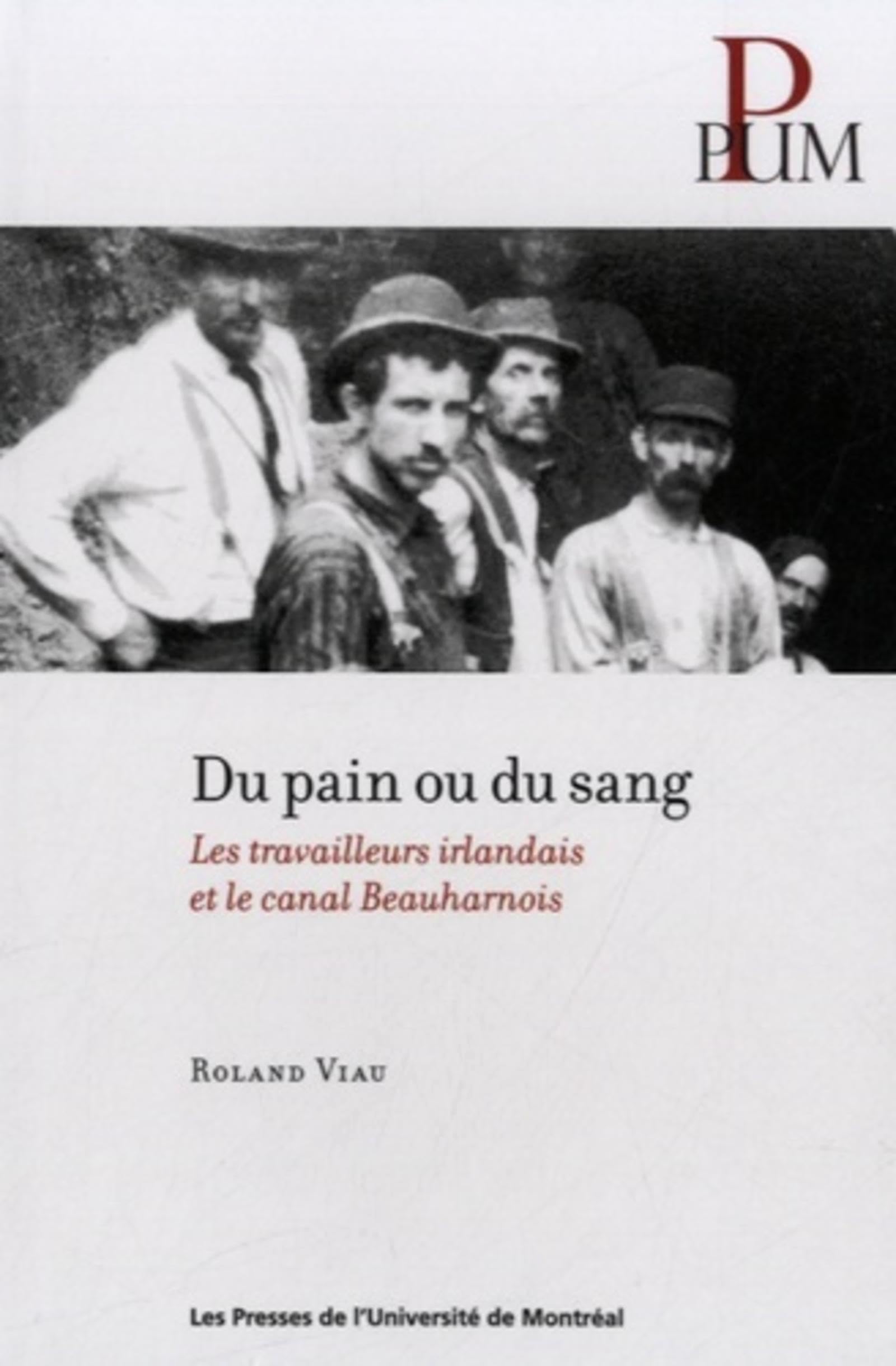 Du pain ou du sang: Les travailleurs irlandais et le canal Beauharnois book