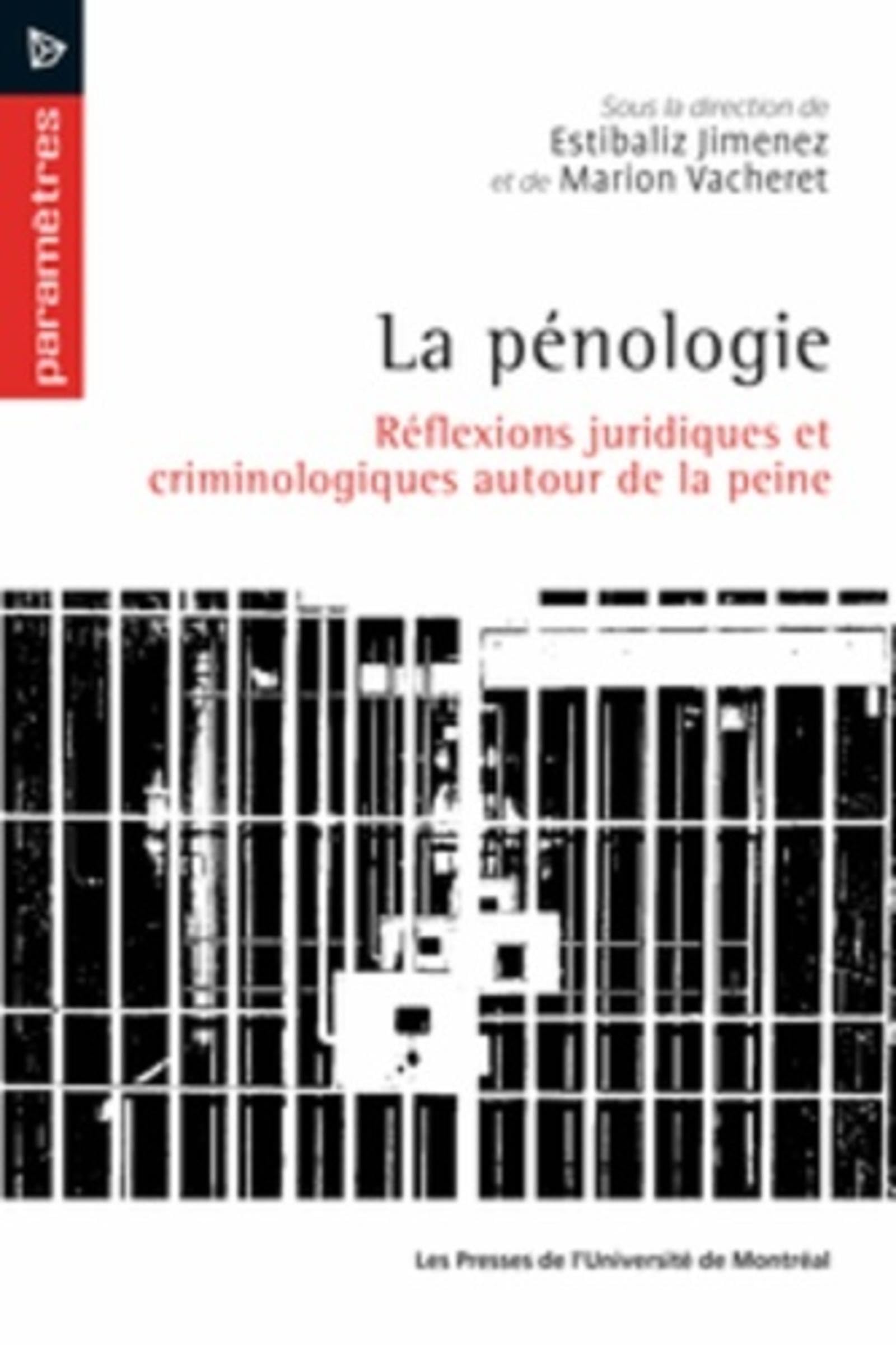 La pénologie: Réflexions juridiques et criminologiques autour de la peine Books