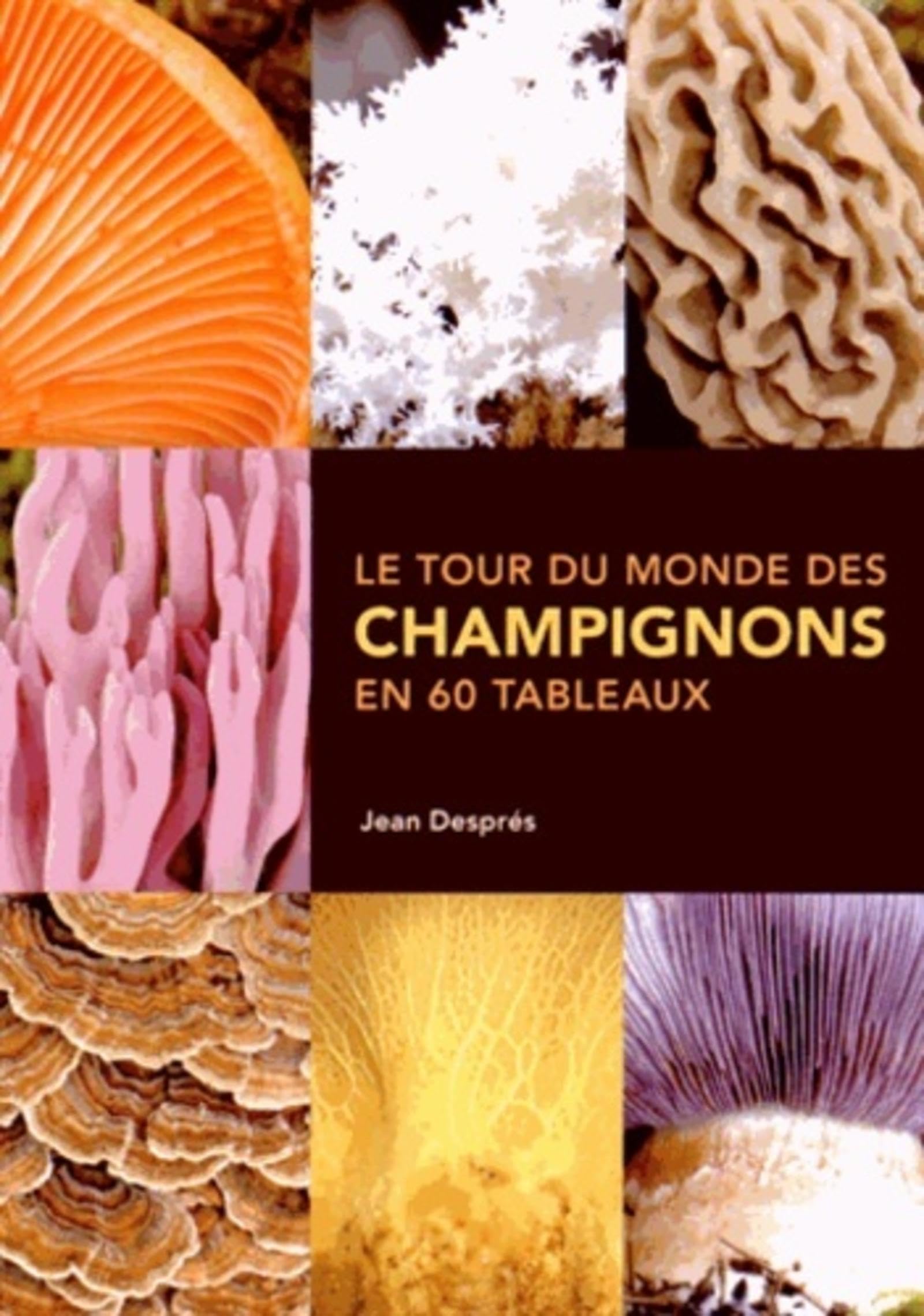 Tour du monde des champignons en 60 tableaux (Le) book