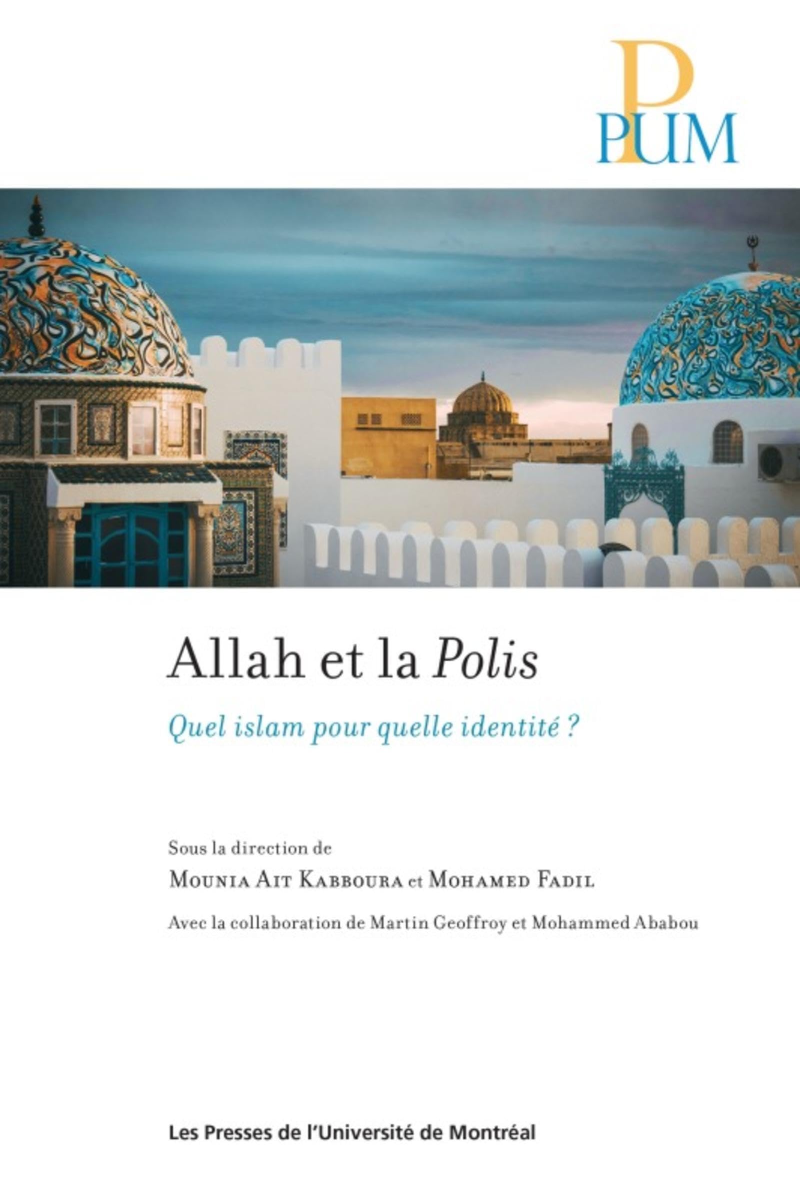 Allah et la Polis: Quel islam pour quelle identité ? book
