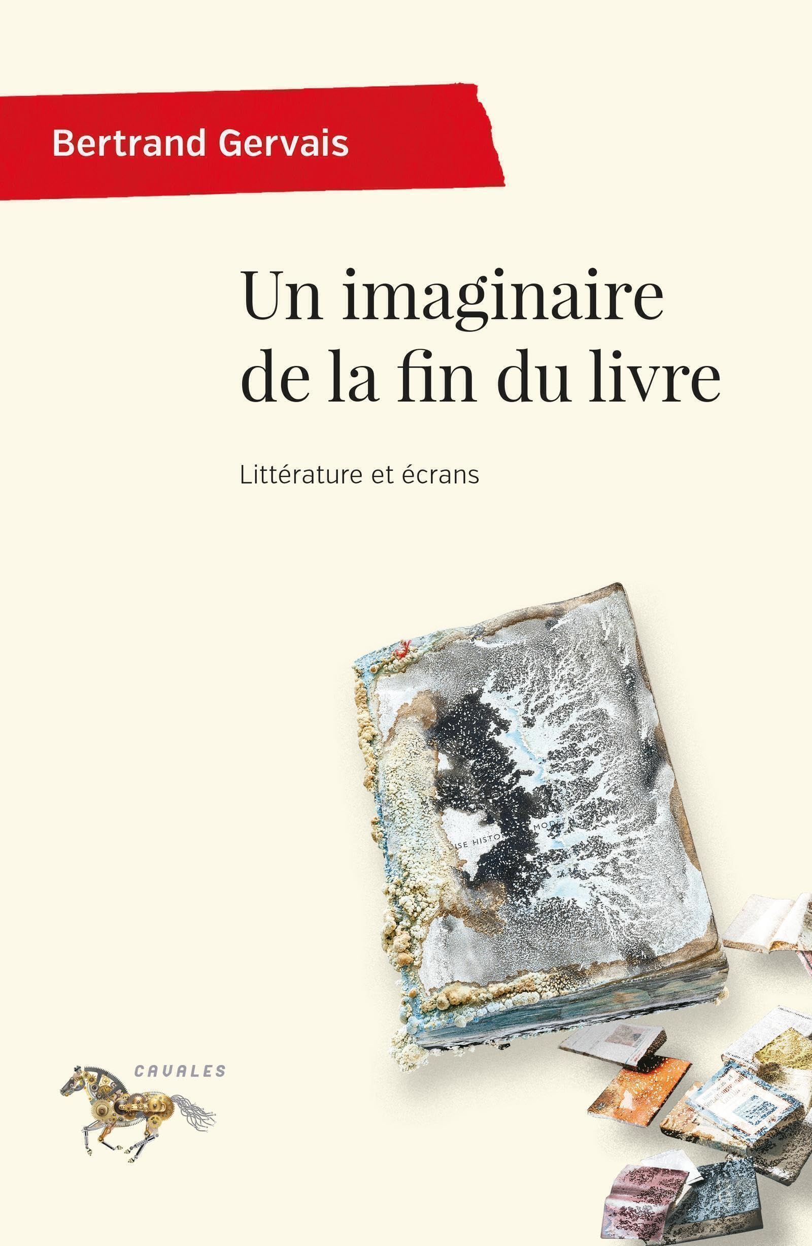 Un imaginaire de la fin du livre: Littérature et écran book