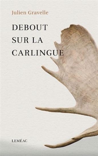 Debout sur la carlingue book