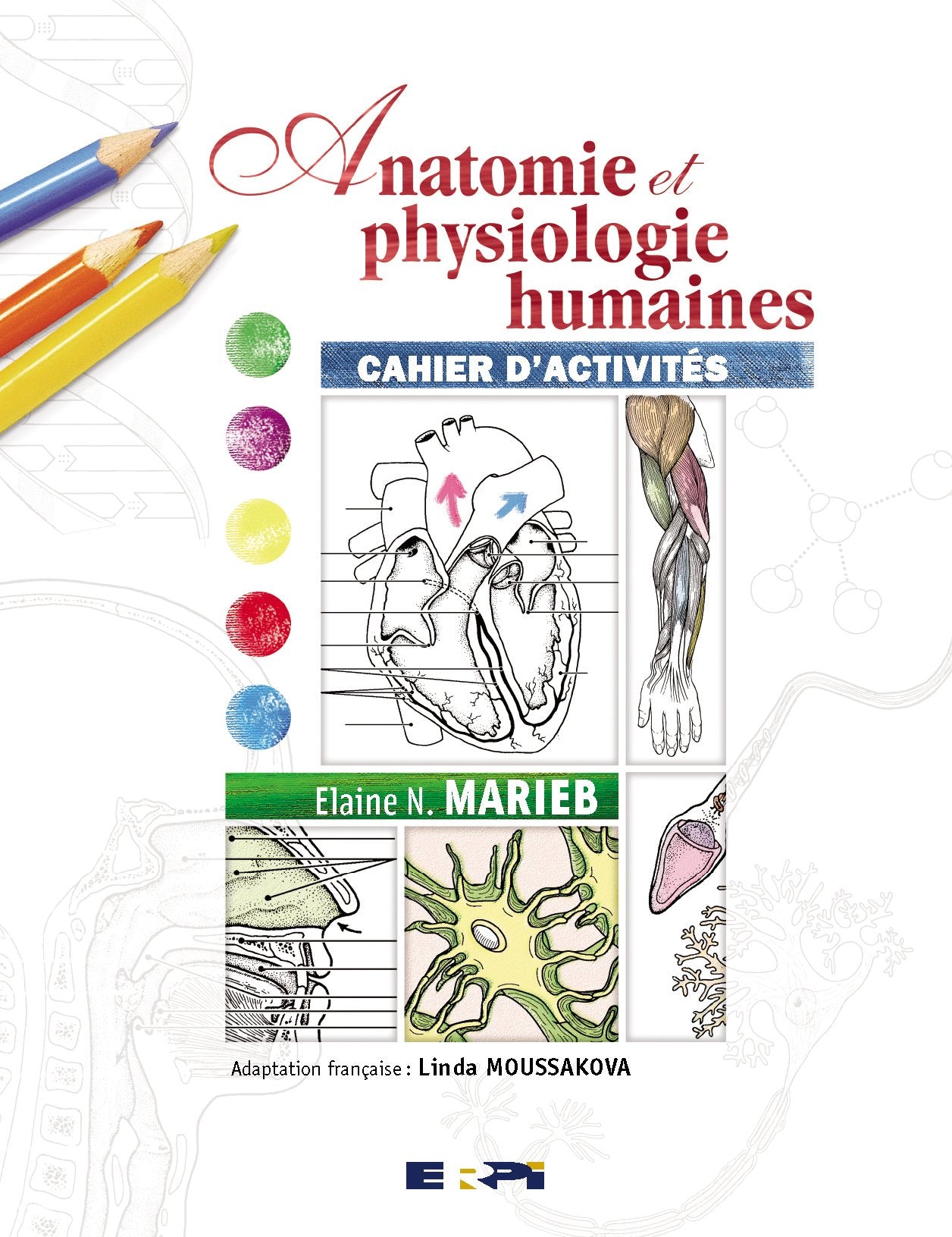 Cahier TD Anatomie et physiologies humaines: Cahier d'activités Medicine