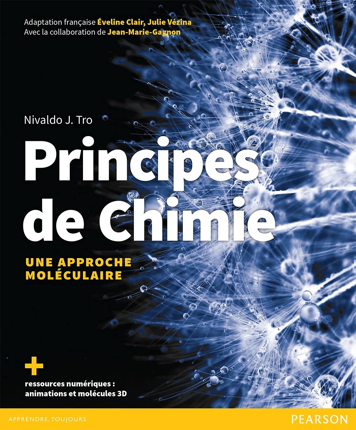 Principes de chimie - Une approche moléculaire: Manuel + version numérique 2 ans Natural Sciences