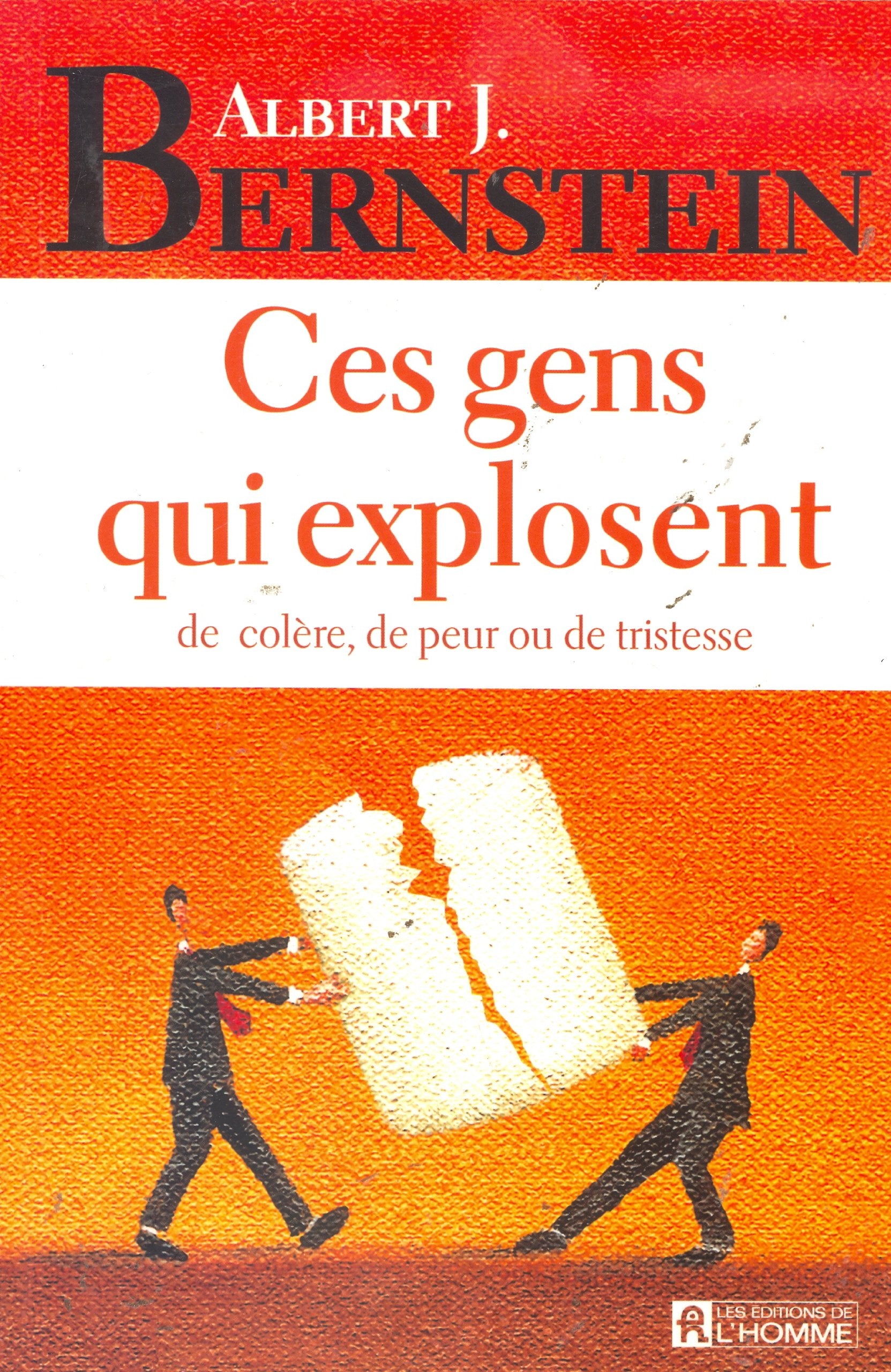 Ces gens qui explosent de colère, de peur ou de tristesse Books