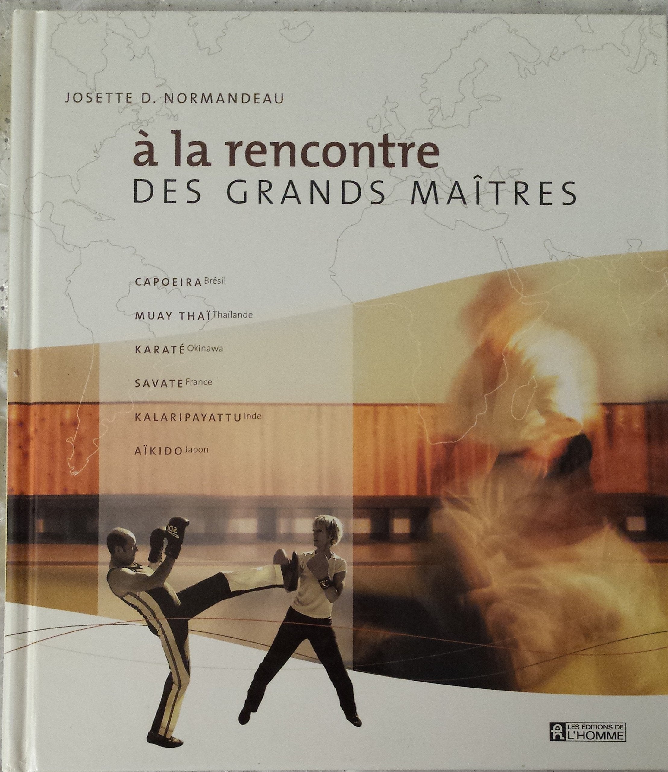 A la rencontre des grands maîtres book