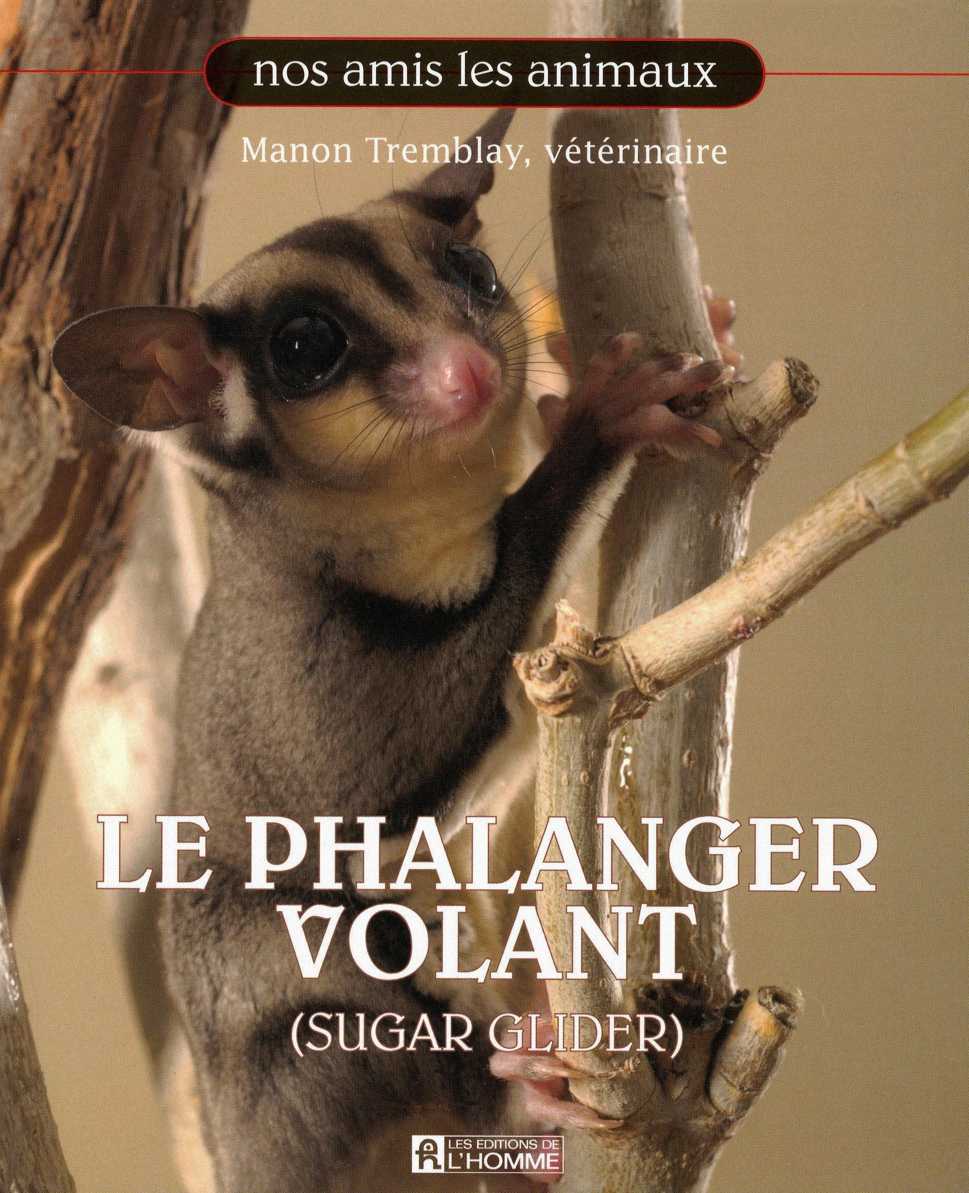 Le phalanger volant book