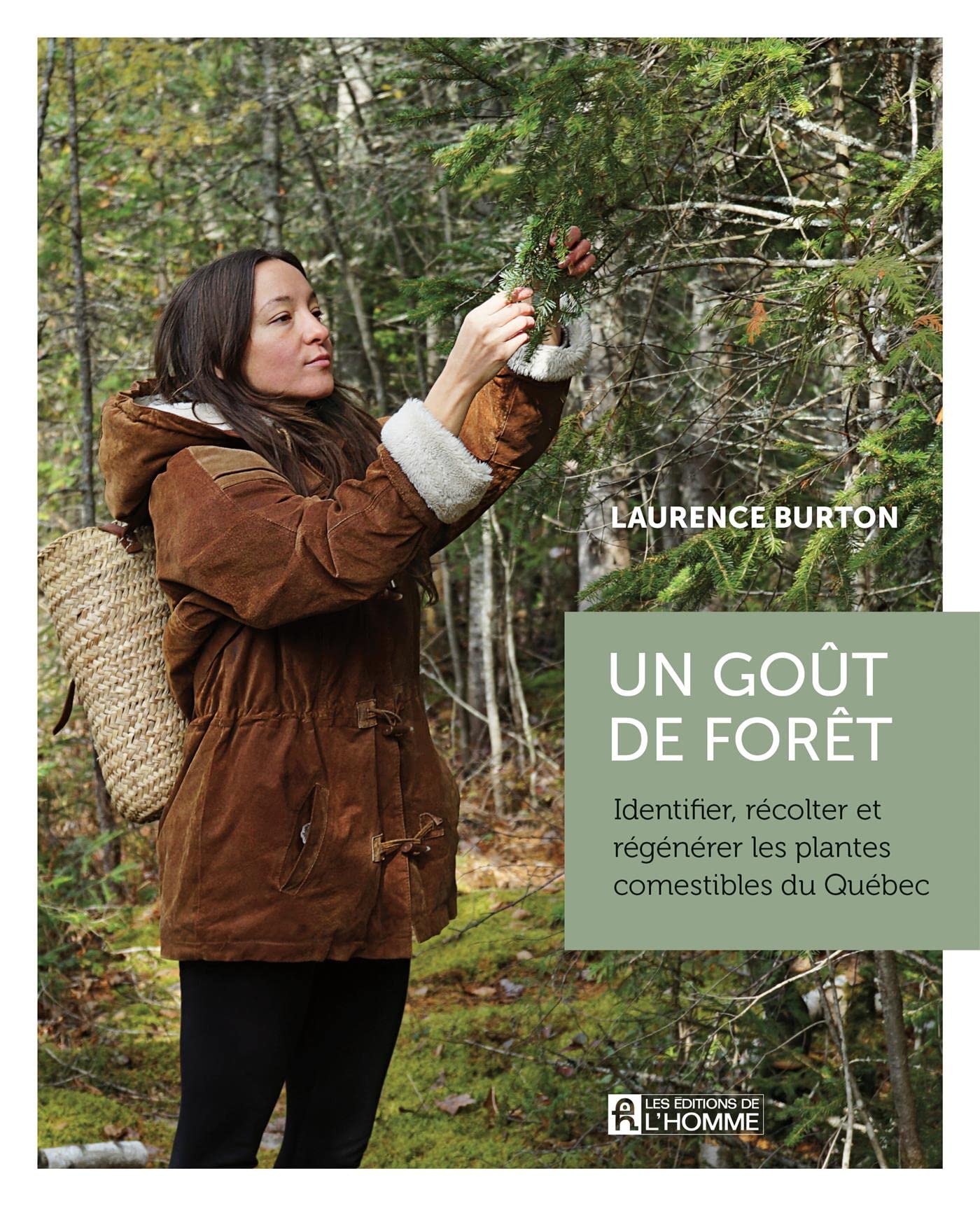 UN GOUT DE FORET. IDENTIFIER, RECOLTER ET REGENERER LES PLANTES: Identifier, récolter et régénérer les plantes comestibles du Québec Leisure, Home & Garden