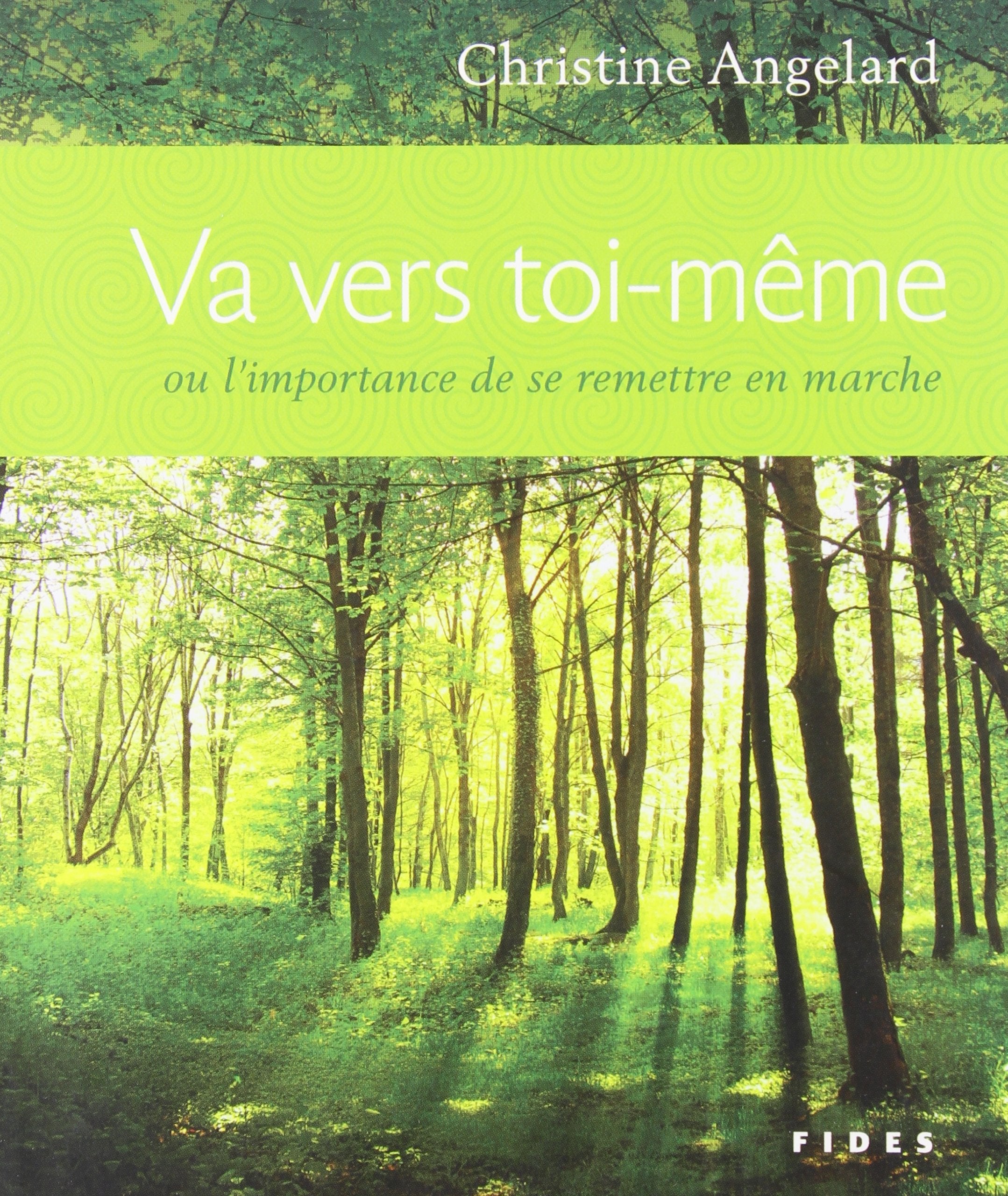 va vers toi meme ou l'importance de se remettre en marche Books