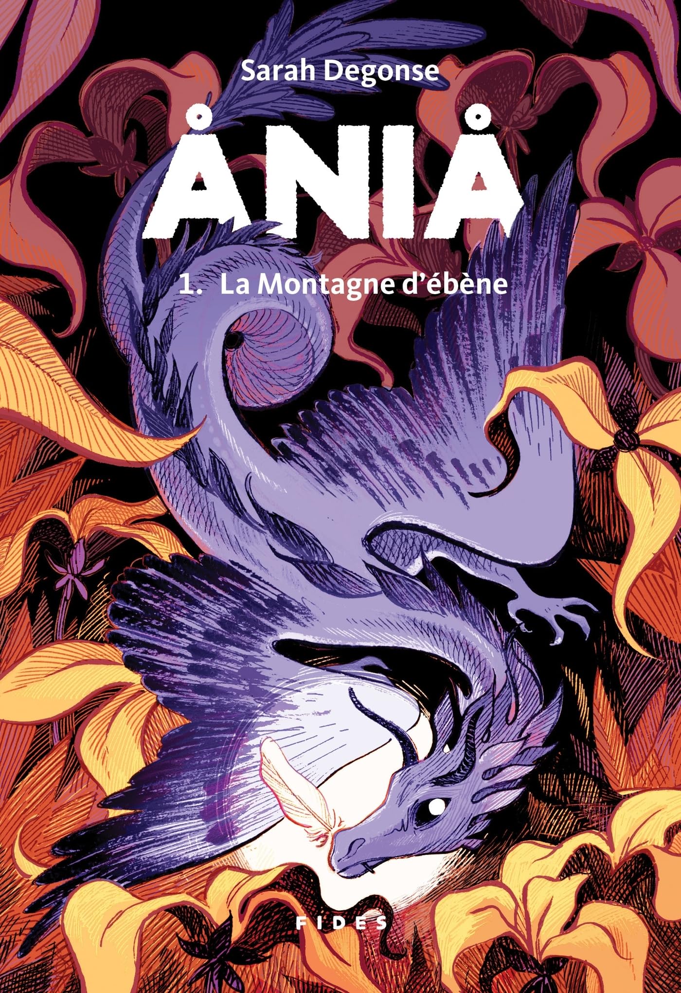 Ania Tome1 La montagne d'ébène: La Montagne d'ébène book