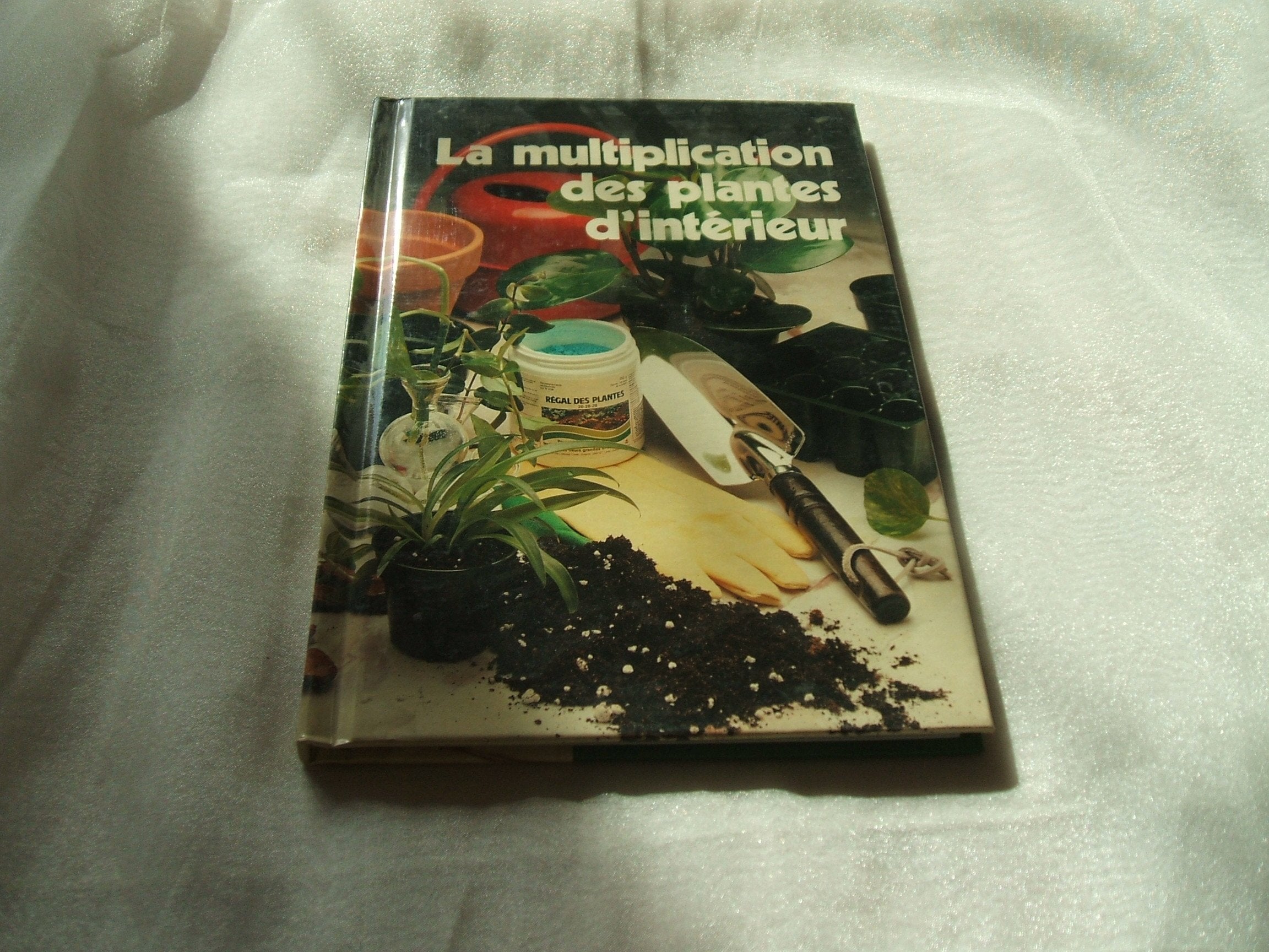 la multiplication des plantes d'intérieur Books
