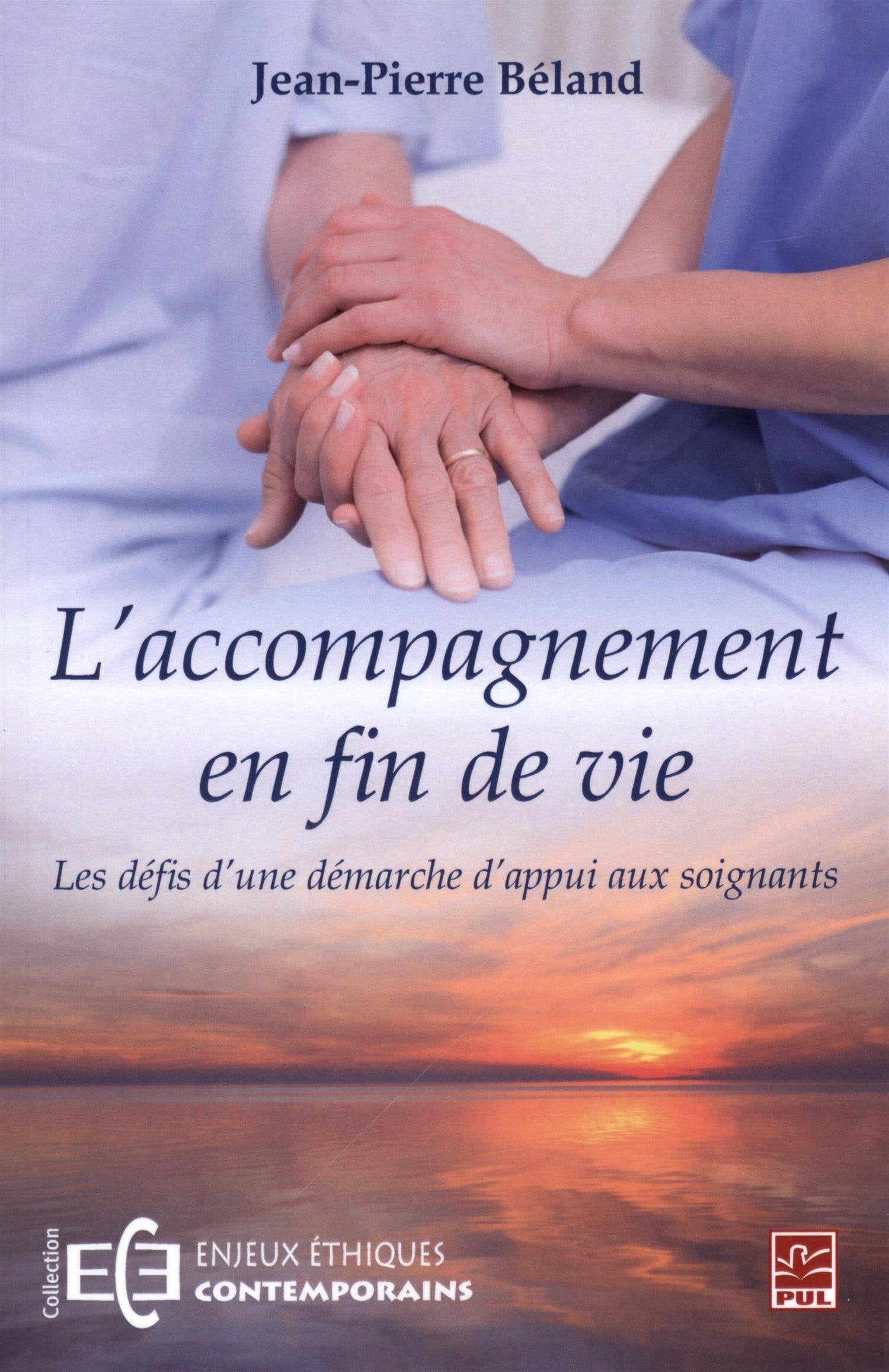 L'Accompagnement en Fin de Vie. les Défis d'une Démarche d'Appui book