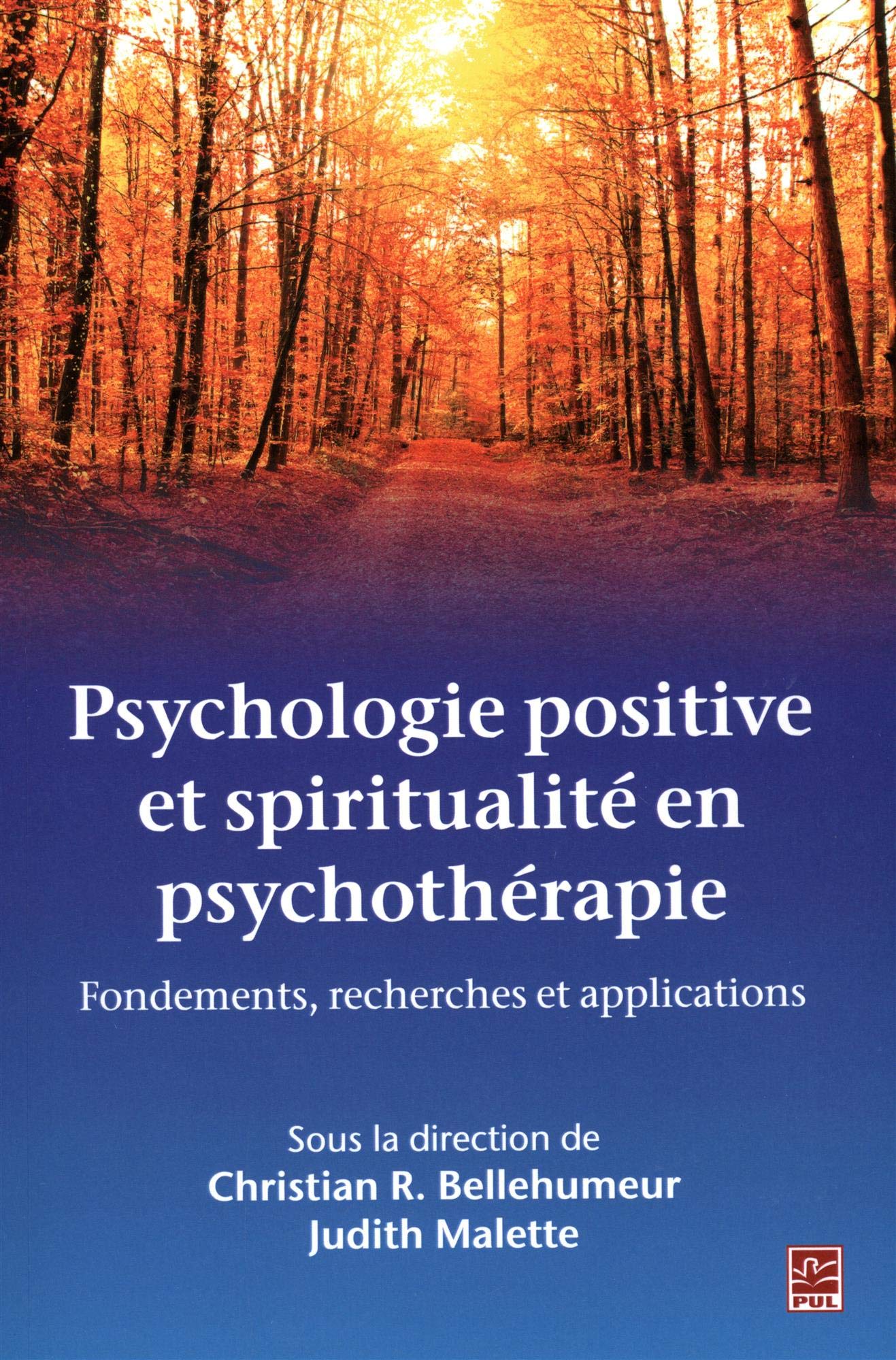 Psychologie positive et spiritualité en psychothérapie: Fondements, recherches et applications book