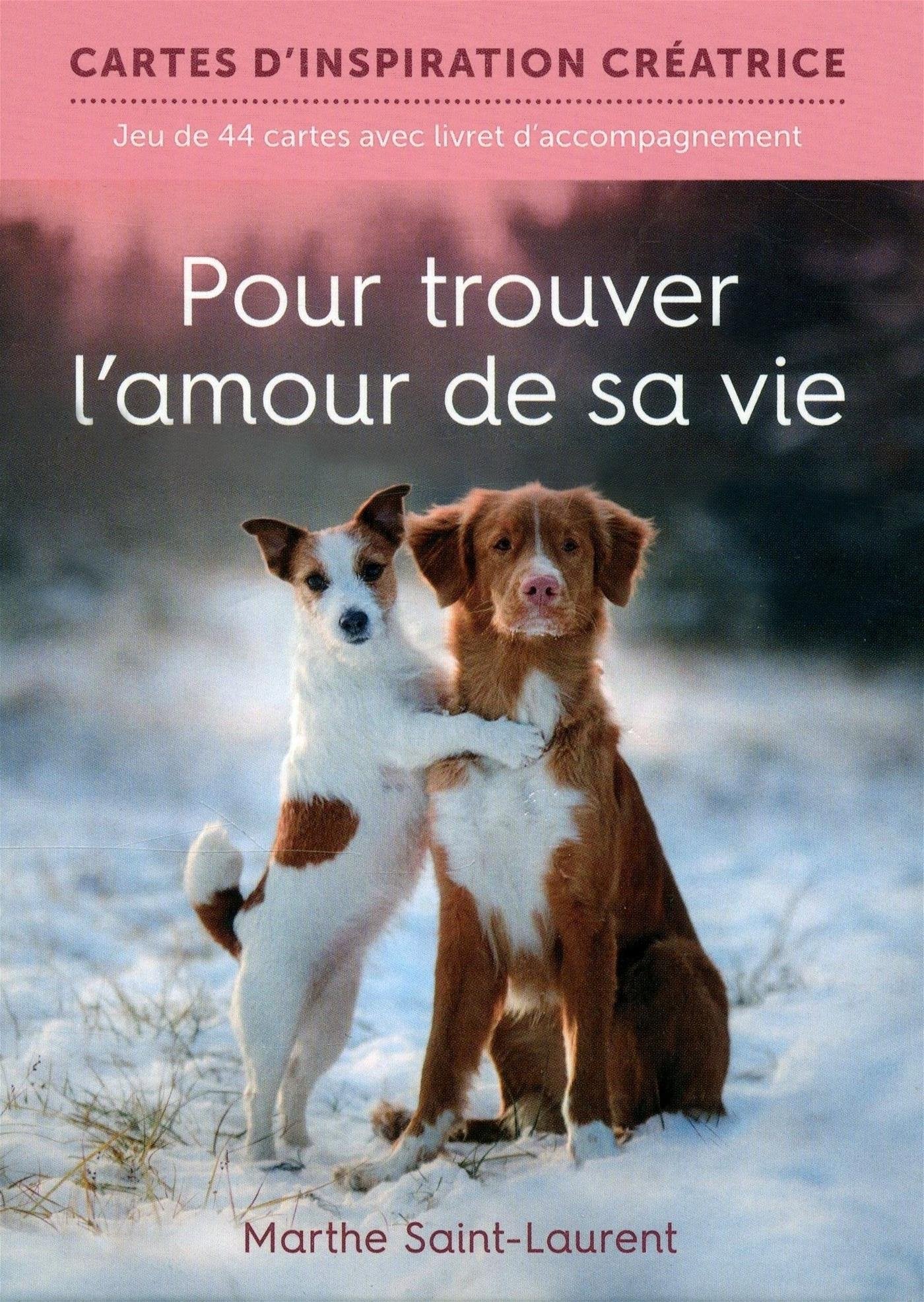 Pour trouver l'amour de sa vie (Boîtier): Jeu de 44 cartes avec livret d'accompagnement Partnership & Love