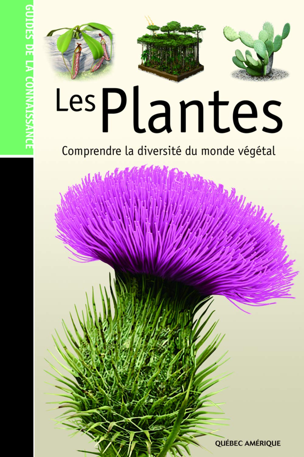 Les plantes: Comprendre la diversité du monde végétal Books