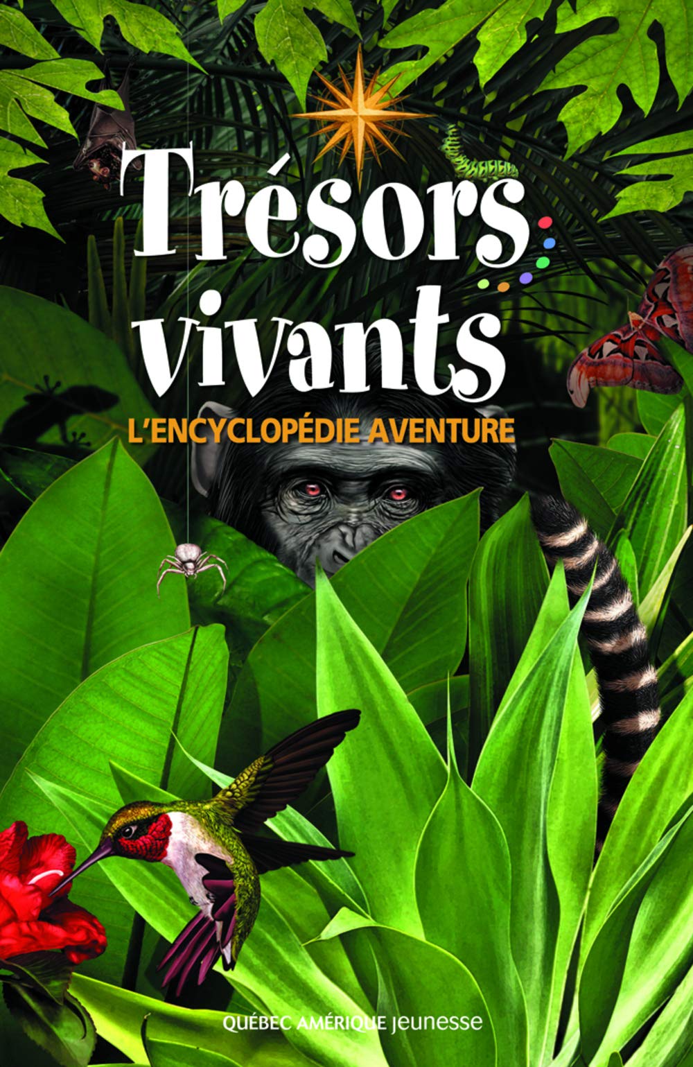 Trésors vivants: L'encyclopédie aventure Books