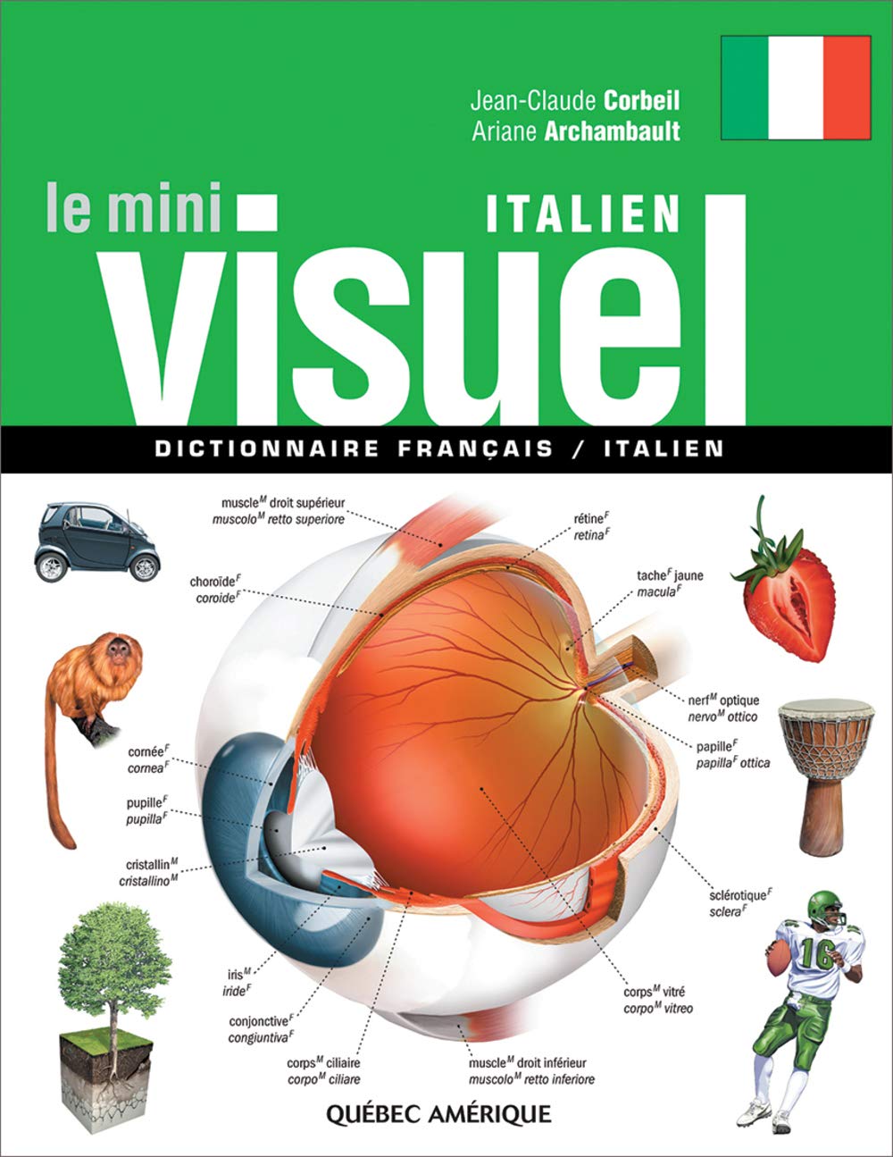 Le Mini Visuel italien : Dictionnaire français-italien Foreign Languages ​​& Dictionaries