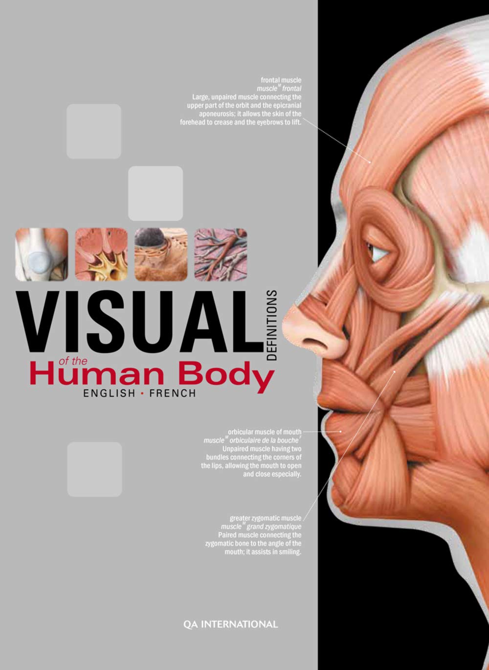 Le visuel du corps humain: Français-anglais book