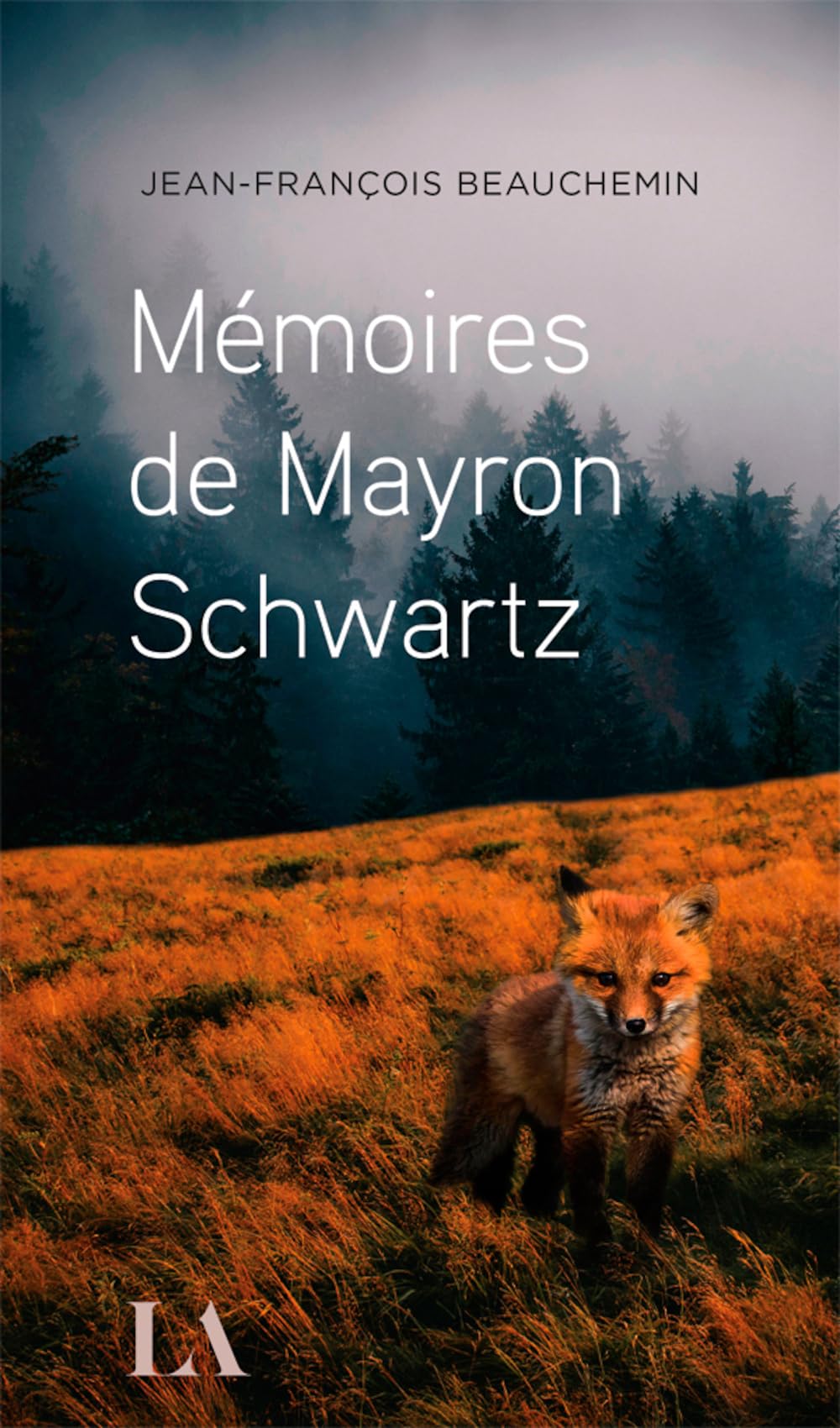 Mémoires de Mayron Schwartz Contemporary literature