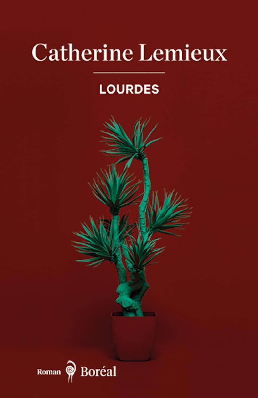 Lourdes Contemporary literature Books