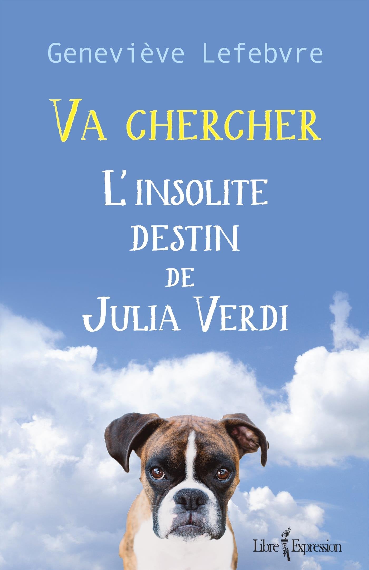 VA CHERCHER : L' INSOLITE DESTIN DE JULIA VERDI Contemporary literature
