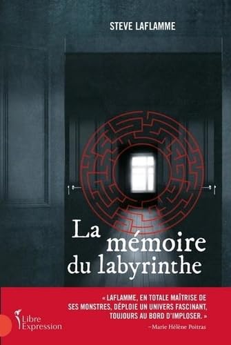La mémoire du labyrinthe: Une enquête de Frédérique Santinelli book