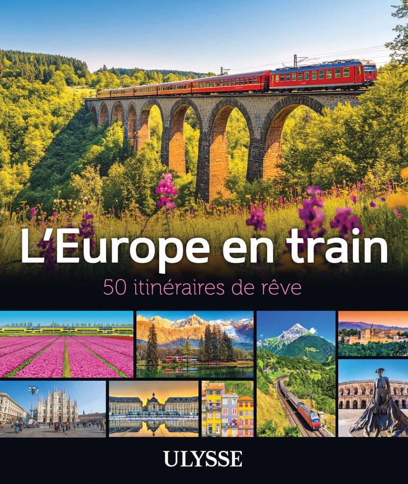 L'Europe en train - 50 itinéraires de rêve book