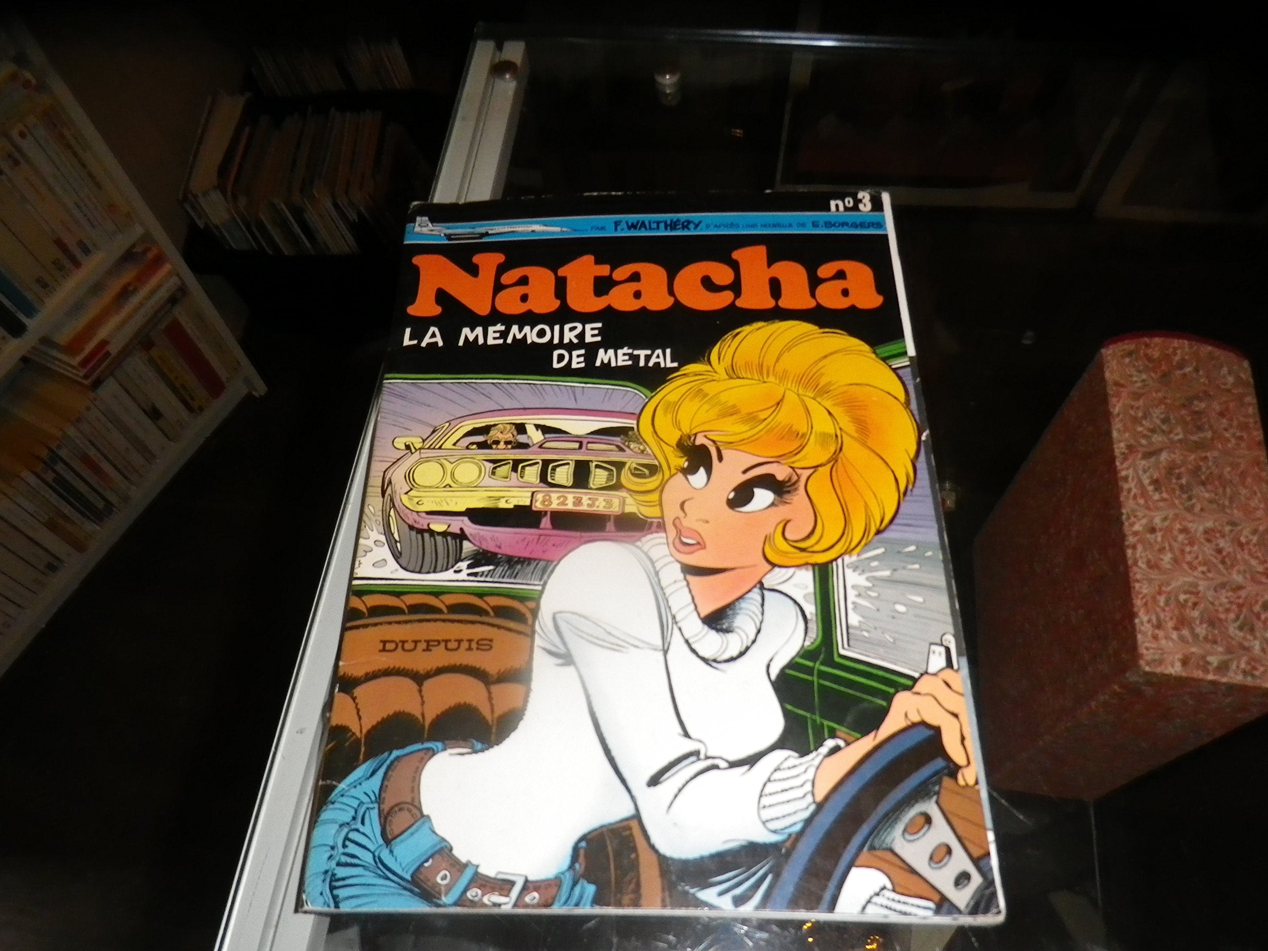 La Mémoire de métal Un Brin de panique (Natacha .) book
