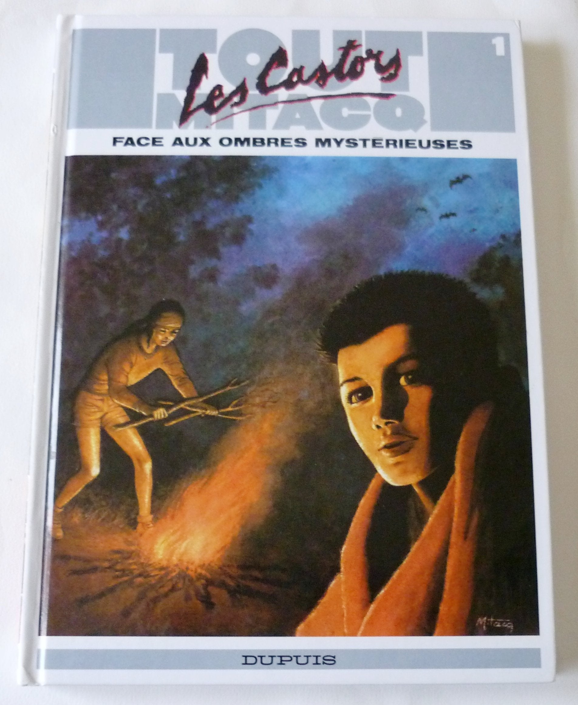 CASTORS FACE AUX OMBRES MYSTERIEUSES (LES) book