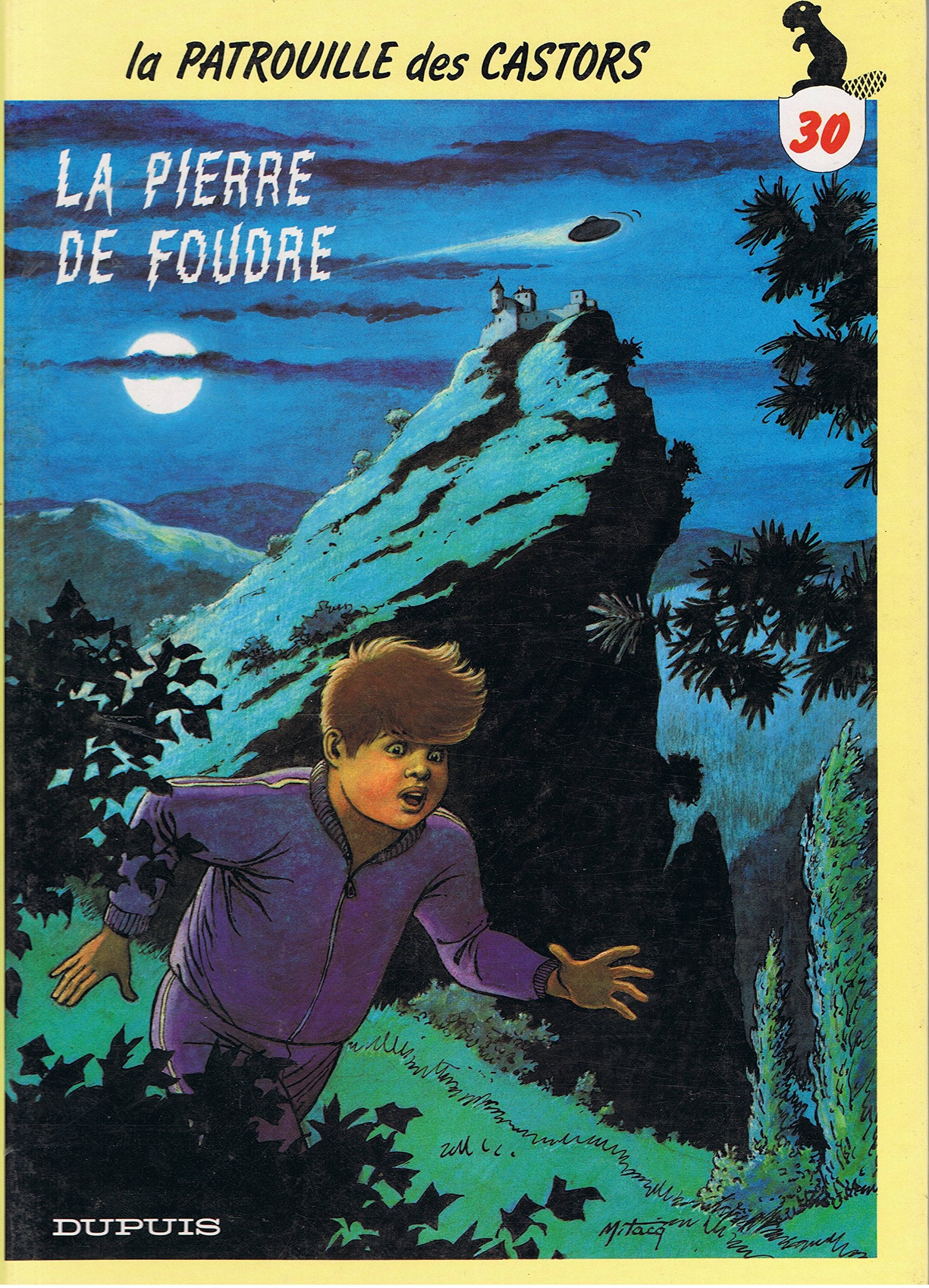 La pierre de foudre book