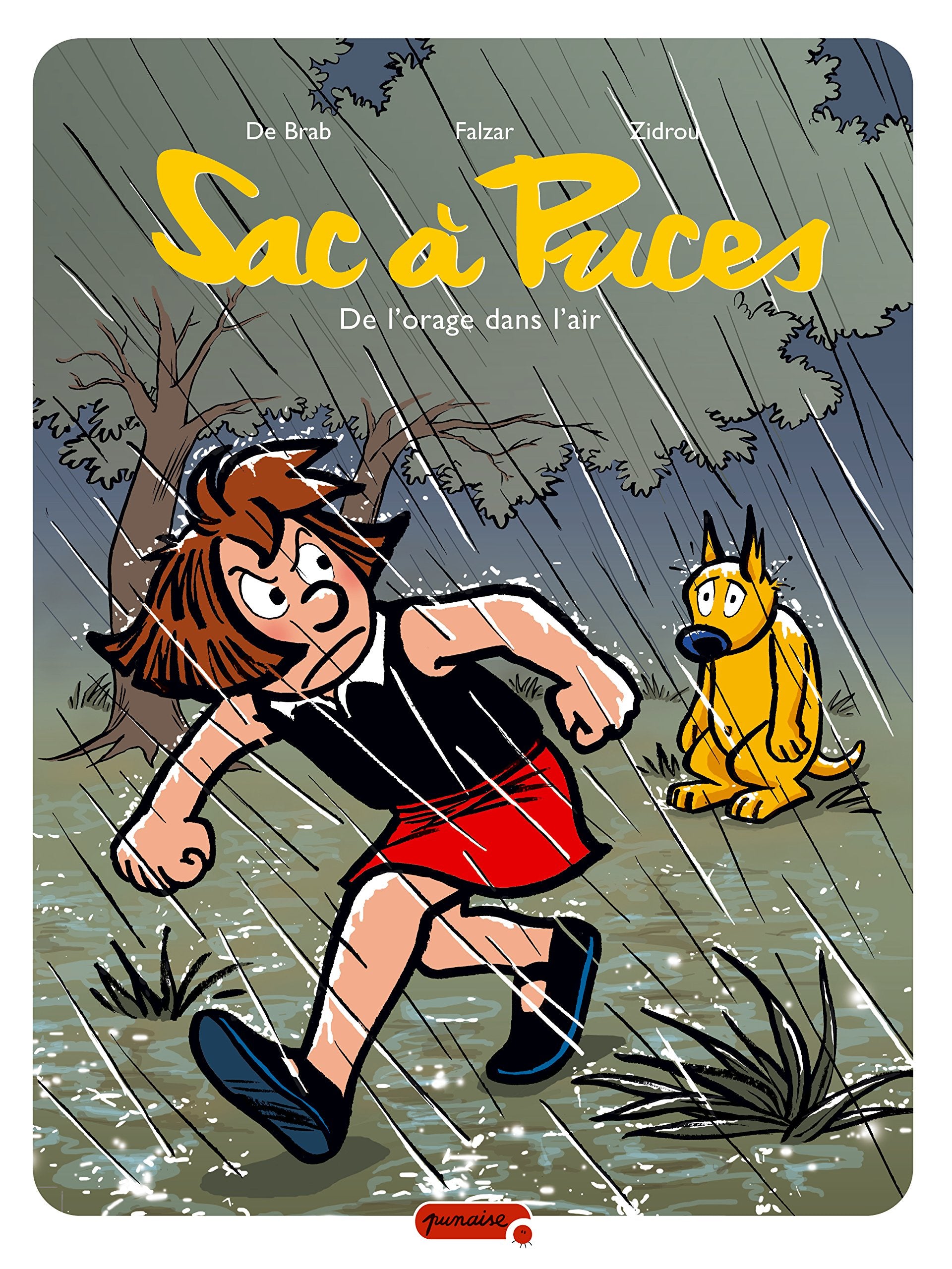 Sac à puces - Tome 7 - De l'orage dans l'air book