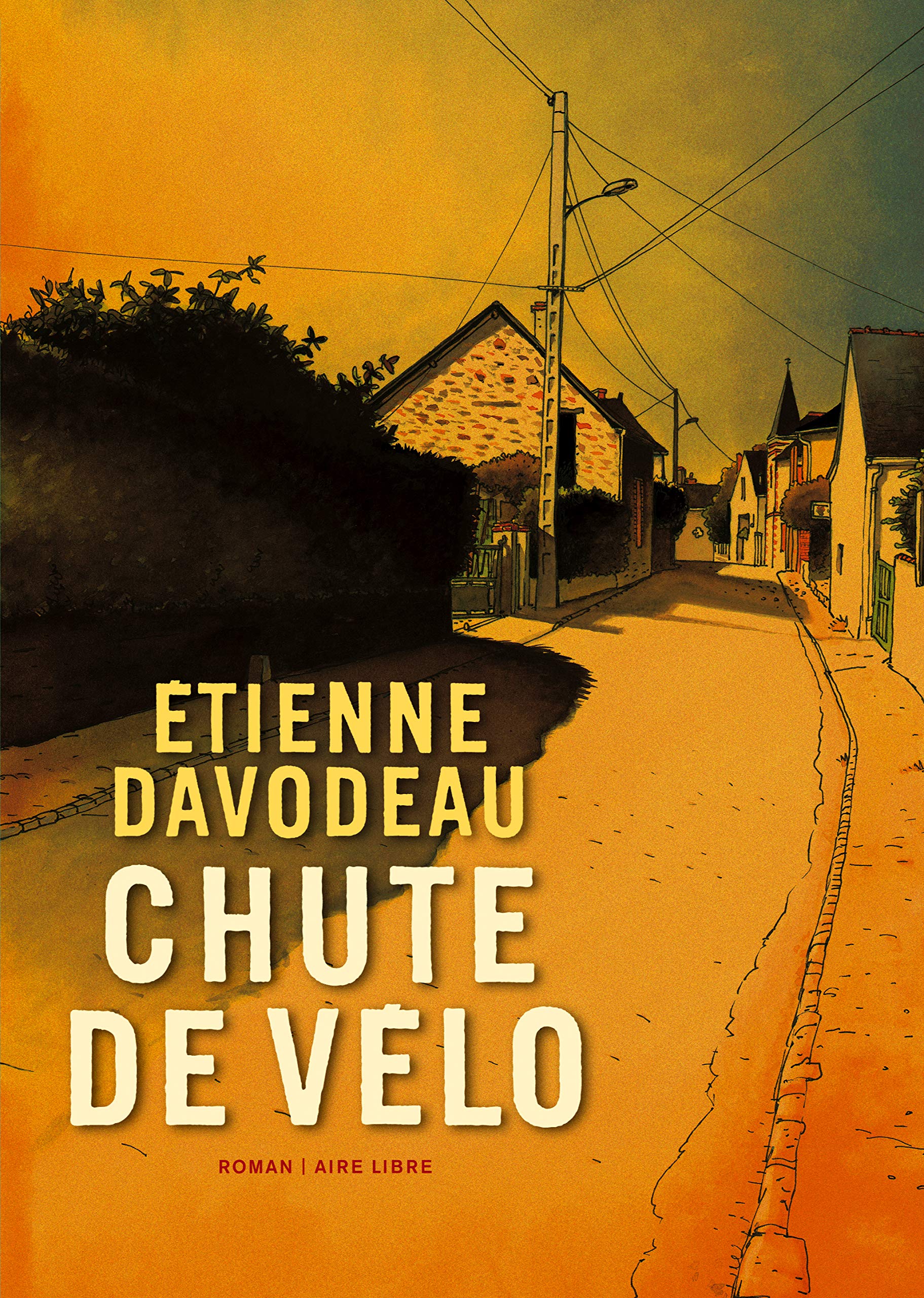 Chute de vélo - Tome 0 - Chute de vélo (roman) book