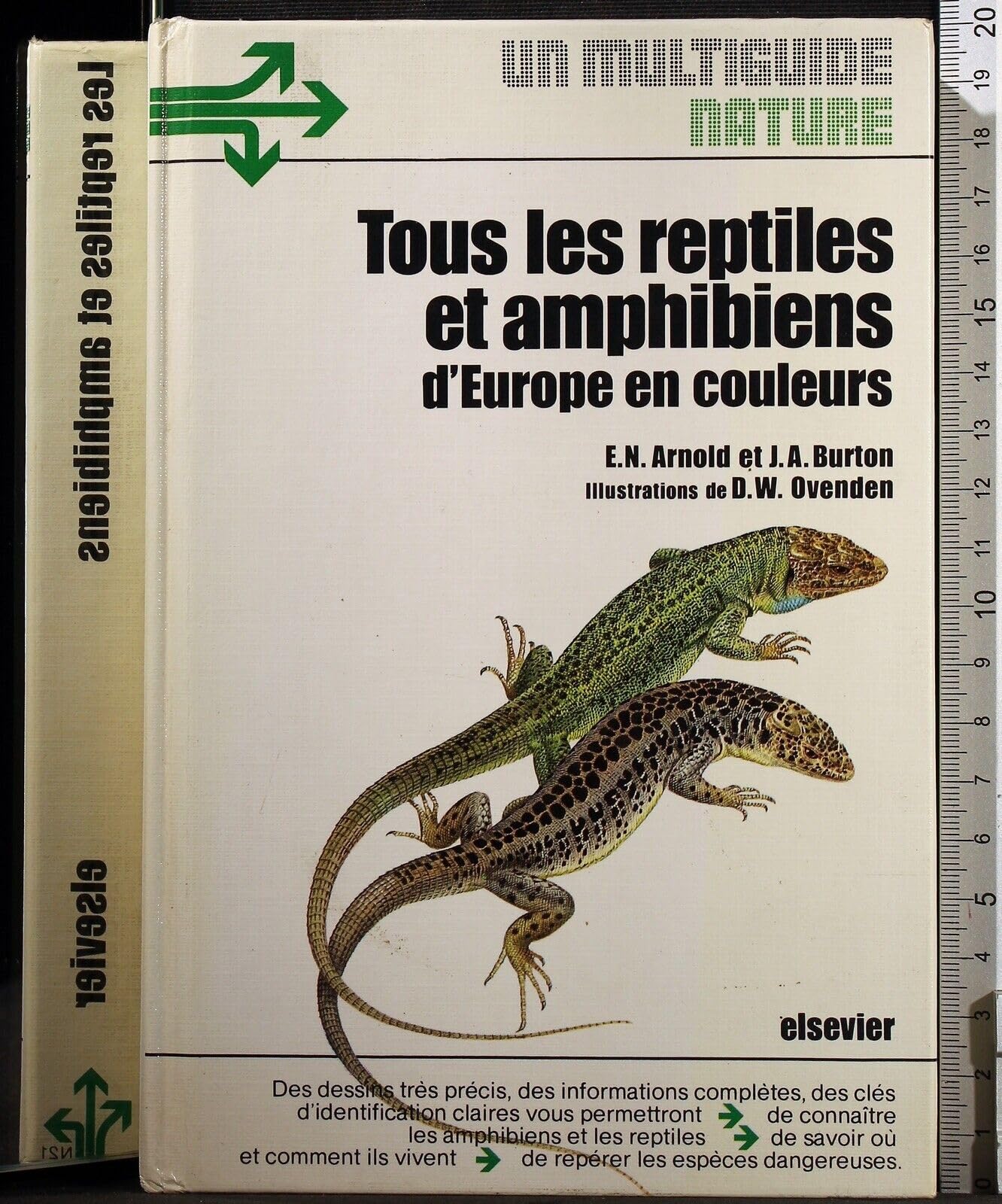 Tous les Reptiles et Amphibiens d'Europe en couleurs Books