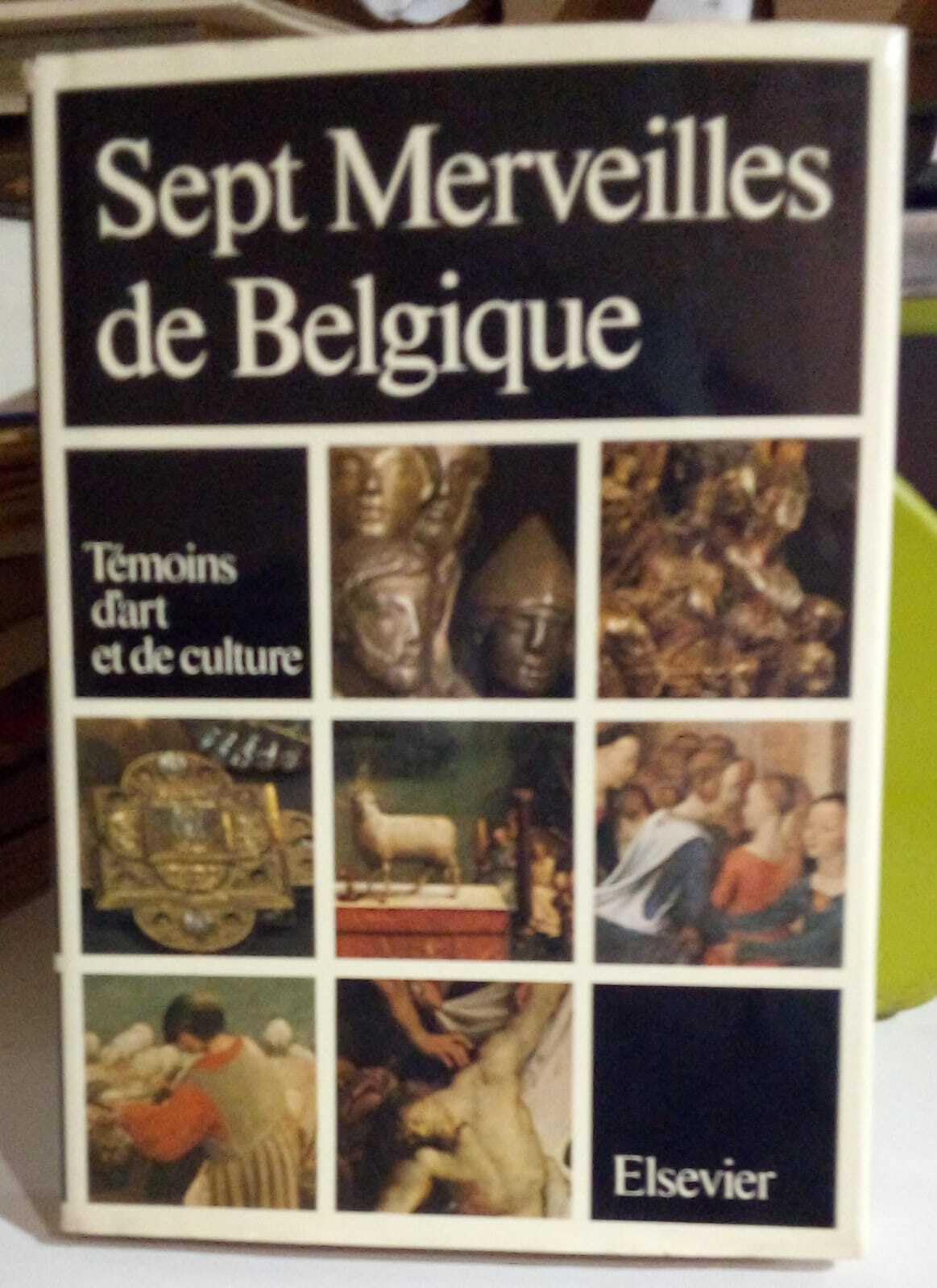 Sept merveilles de Belgique Books