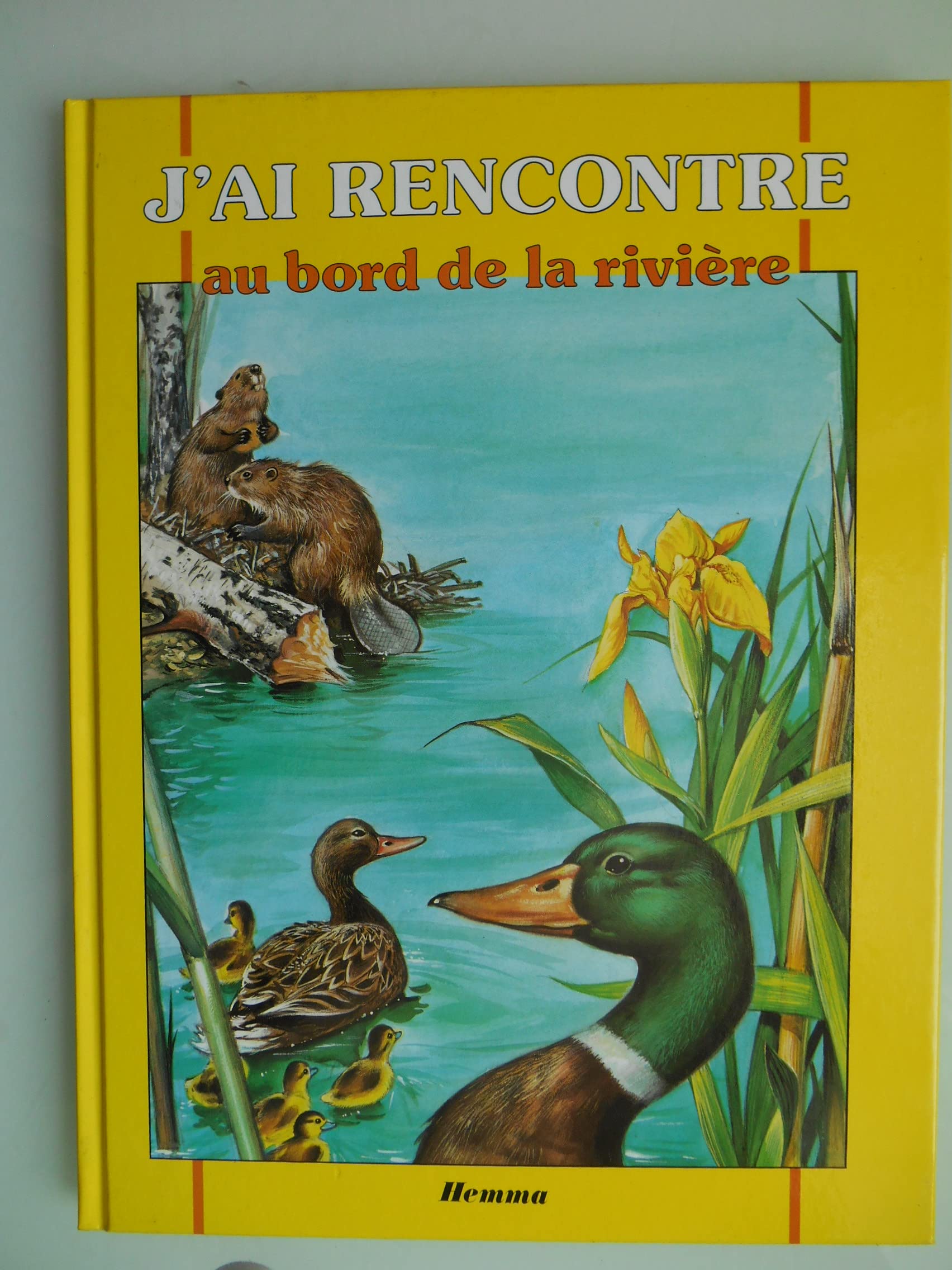 J'AI RENCONTRE AU BORD DE LA RIVIERE book