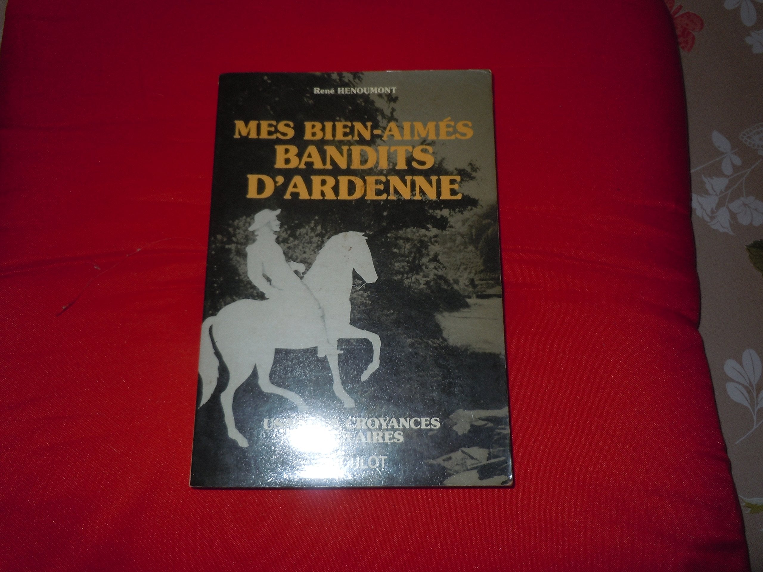 Mes bien-aimés bandits d'Ardenne (Usages et croyances populaires) Books