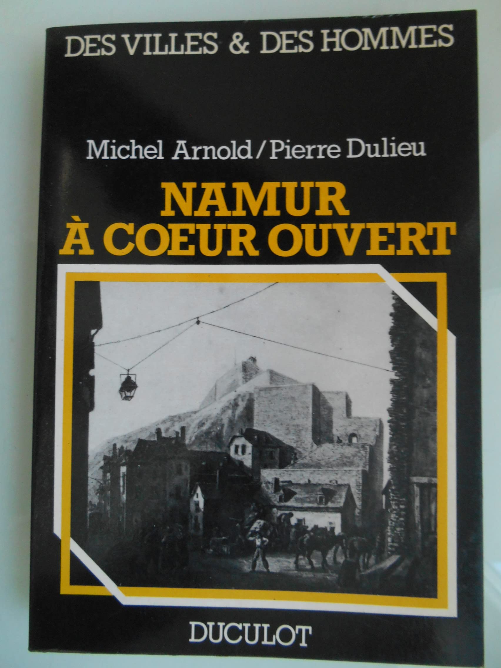 Namur à coeur ouvert (Des Villes et des hommes) book