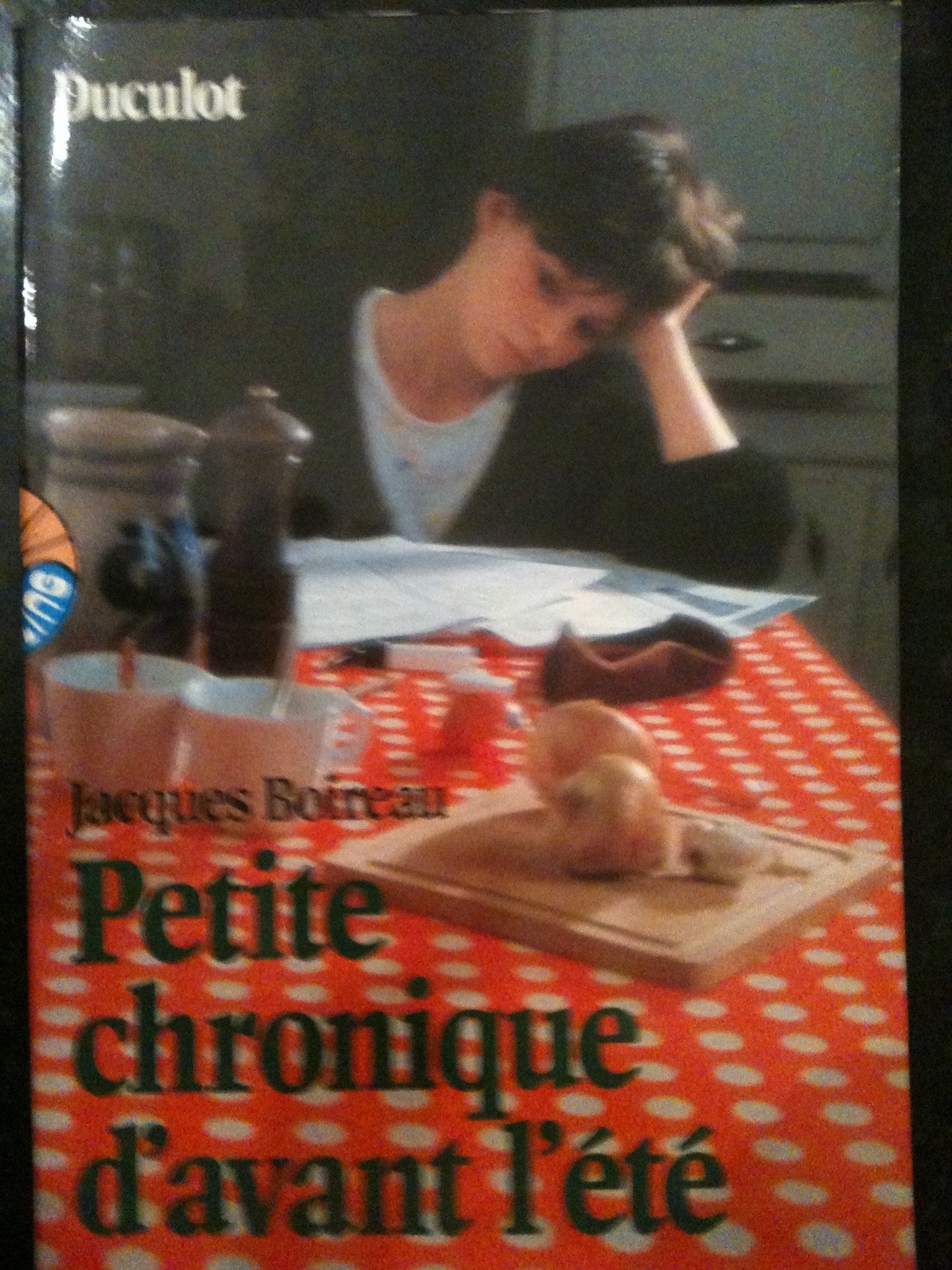 Petite chronique d'avant l'été (Travelling) Books