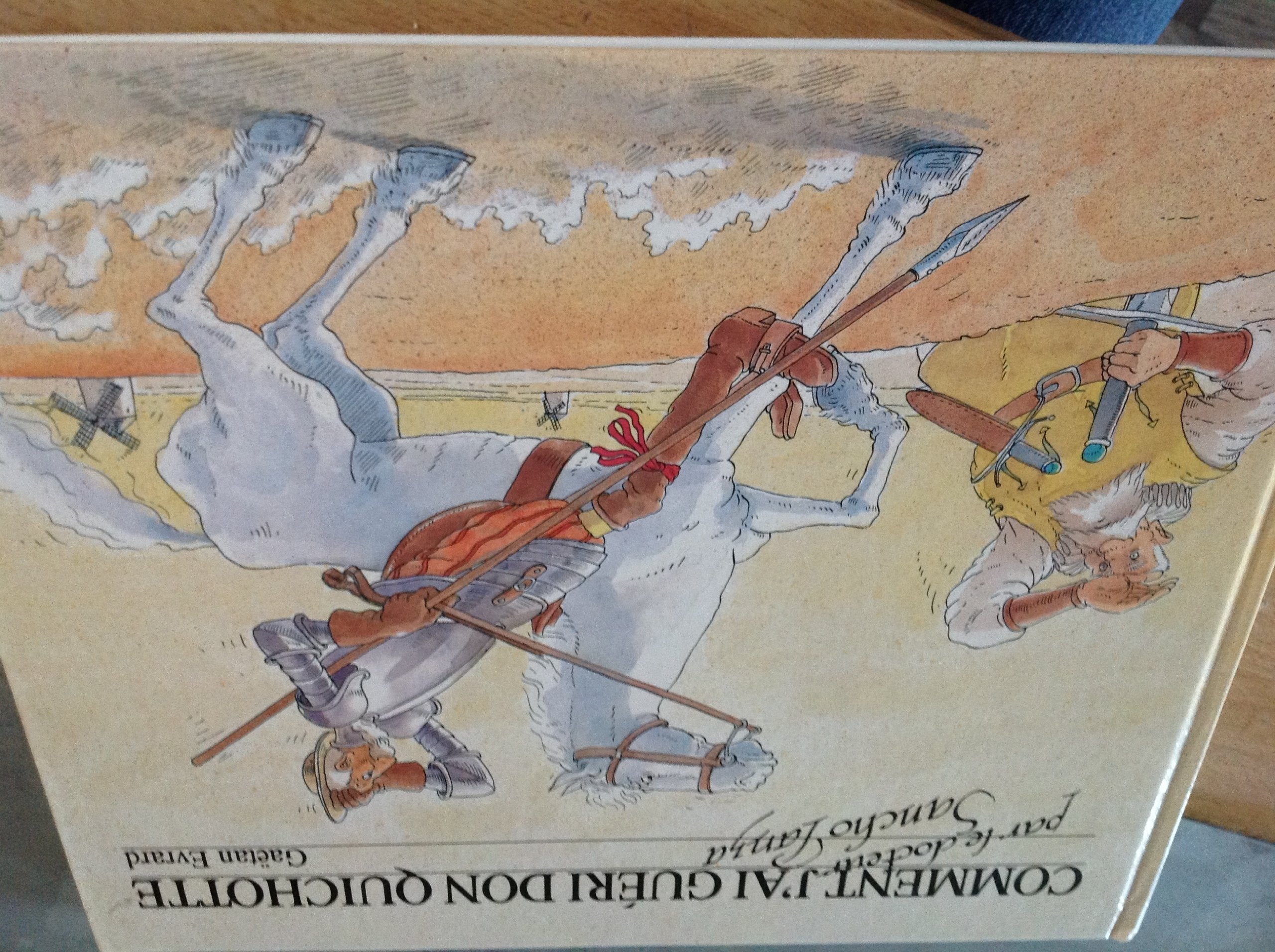 Comment j'ai gueri don quichotte... 020994 (Albums Jeunesse) Books